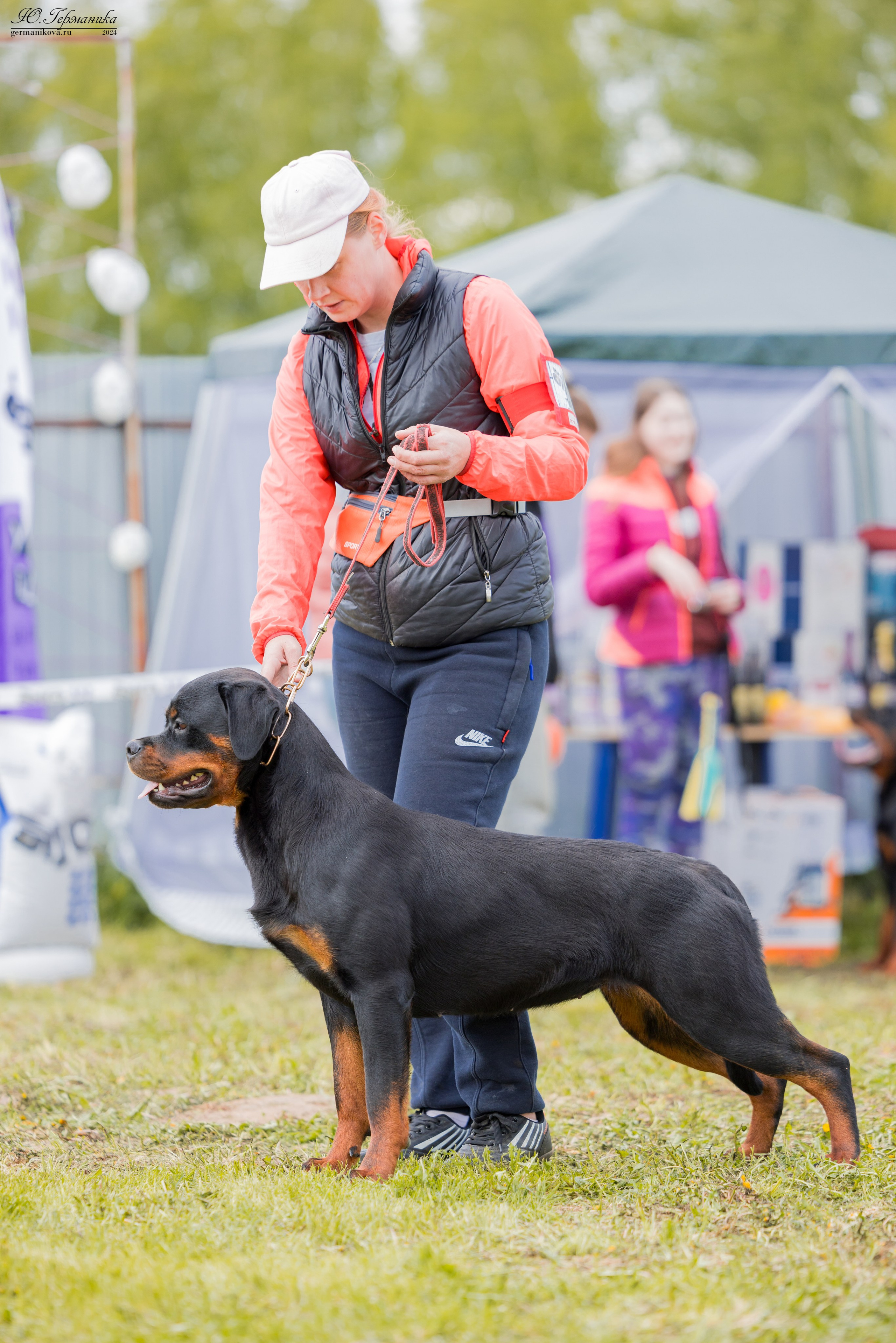 Нижний Новгород 11-12.05.2024 моно ротвейлеров. Фотограф-анималист Юлия Германика