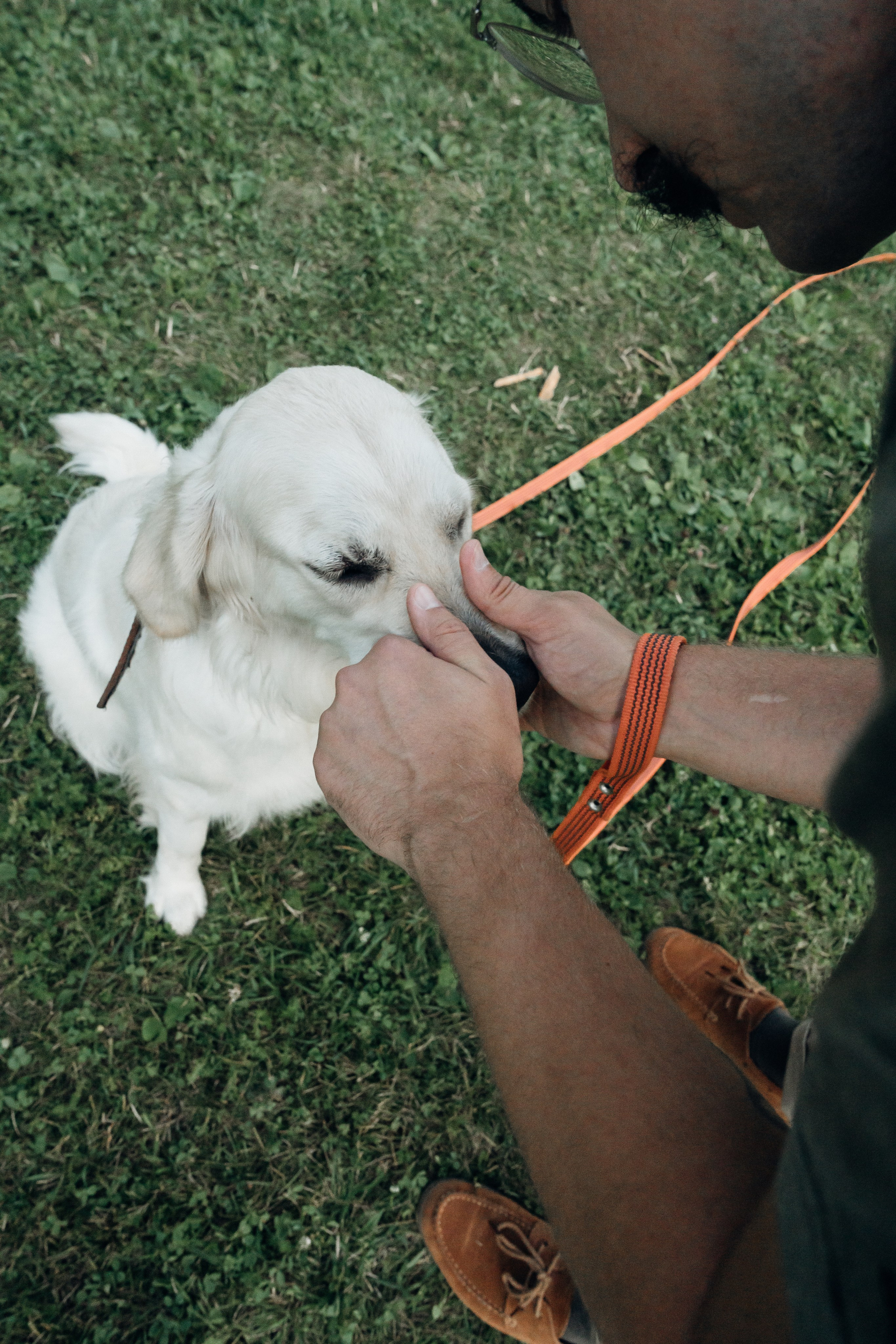 Светлана и Джесси. Фотограф и видеограф в Тюмени Екатерина Чернецкая