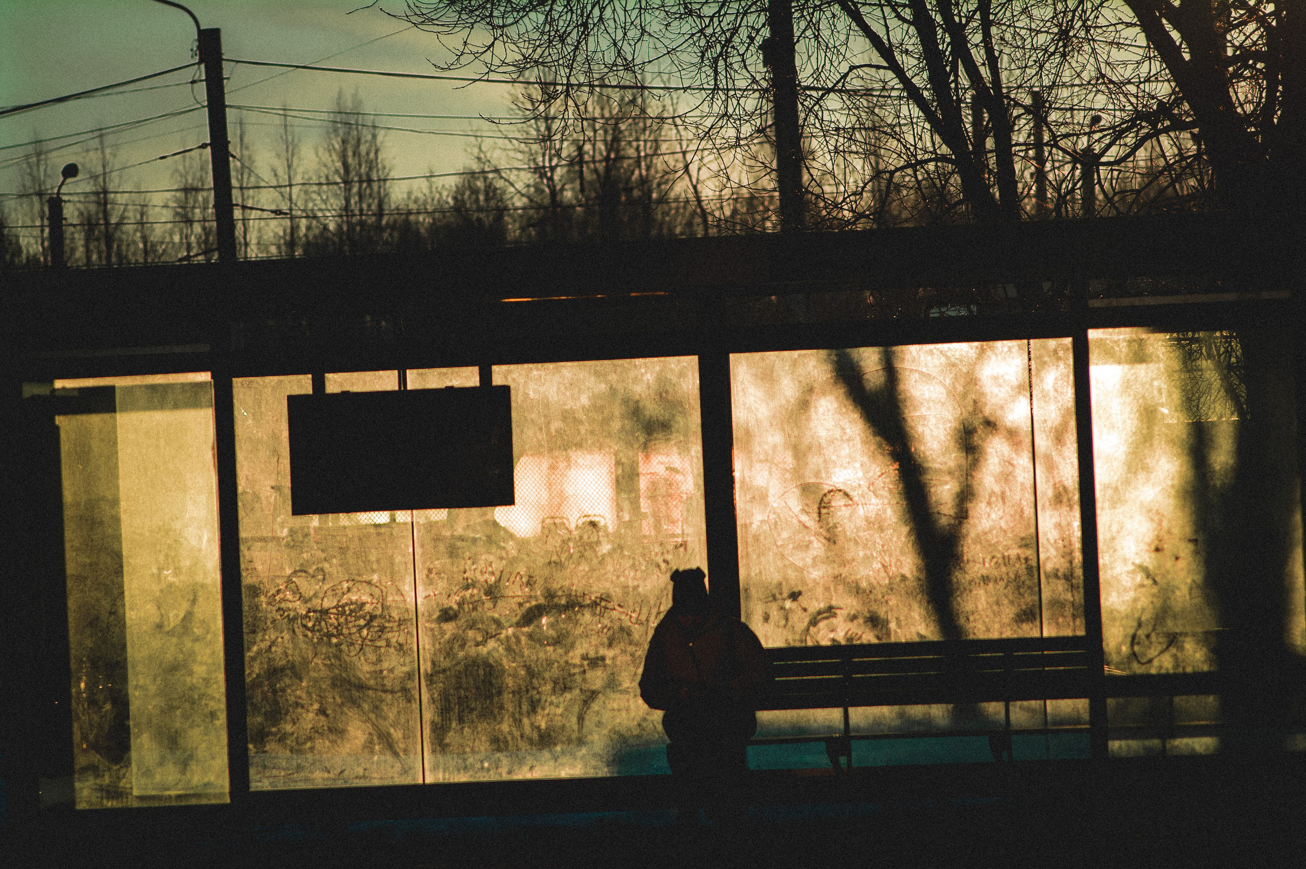 Со дна на вершину. Den Mirov — Фотограф, Музыкант