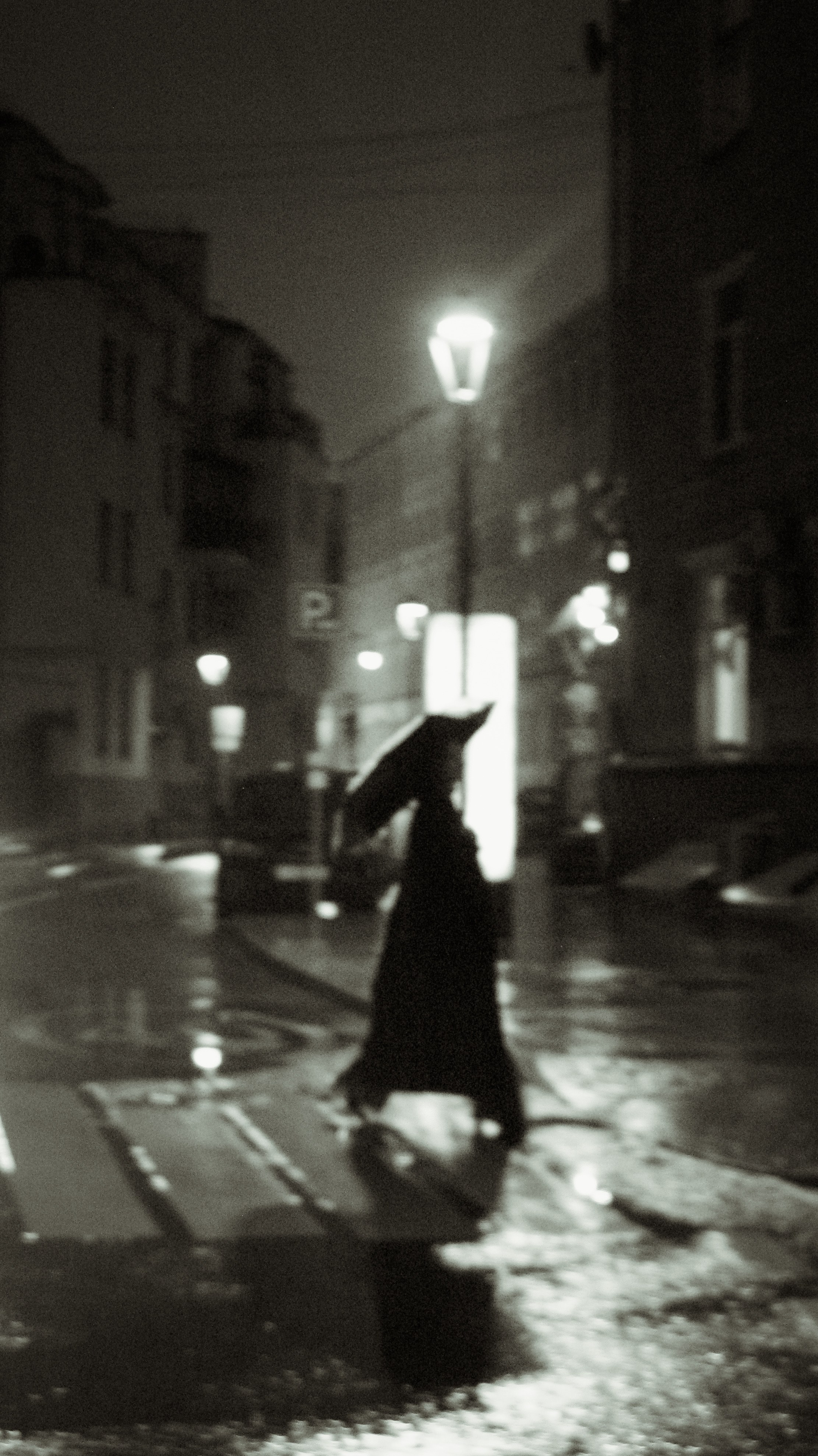 Екатерина. Портретный и свадебный фотограф в Москве Александра