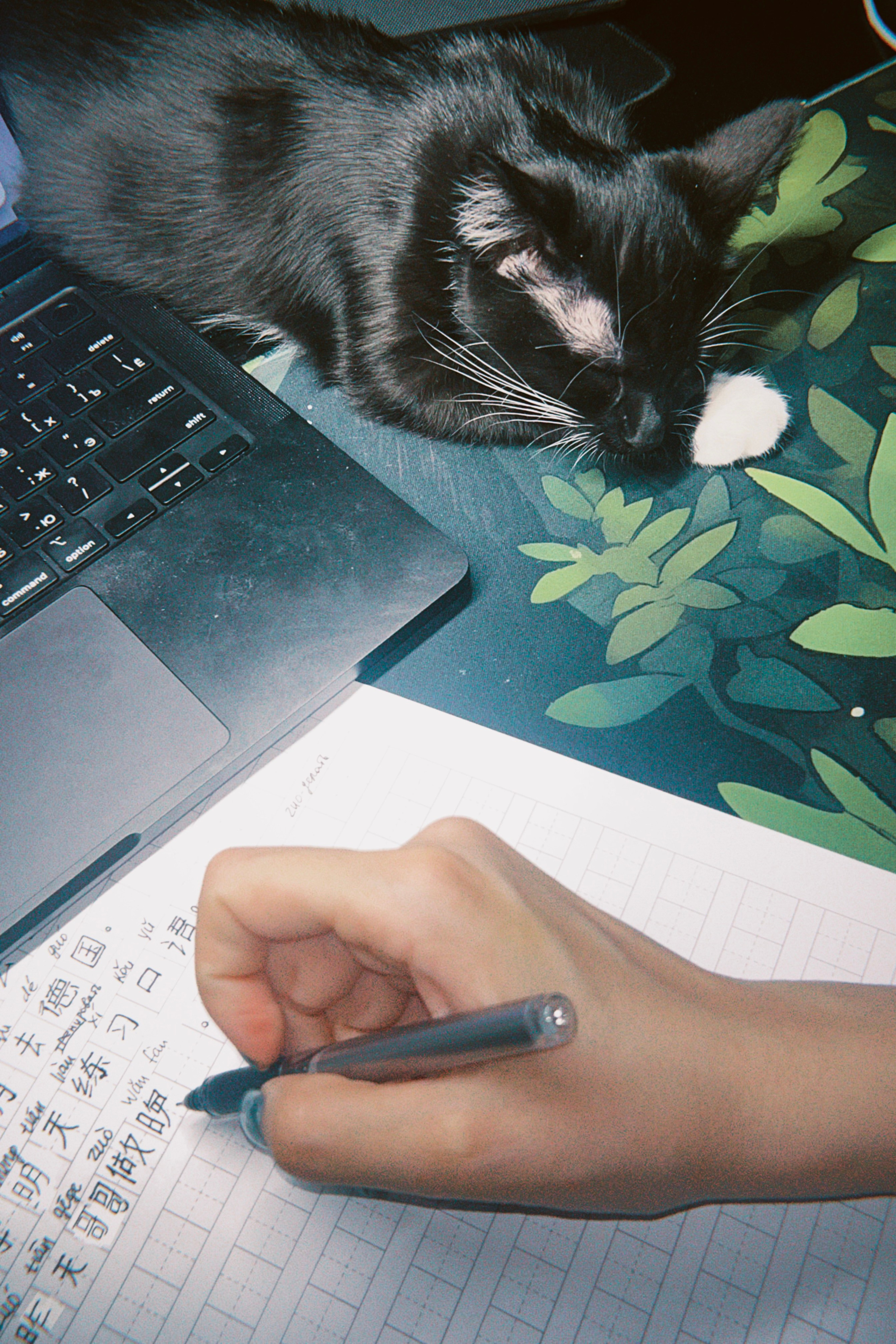 Визуальный дневник. Портретный фотограф в Москве Гахраманова Екатерина