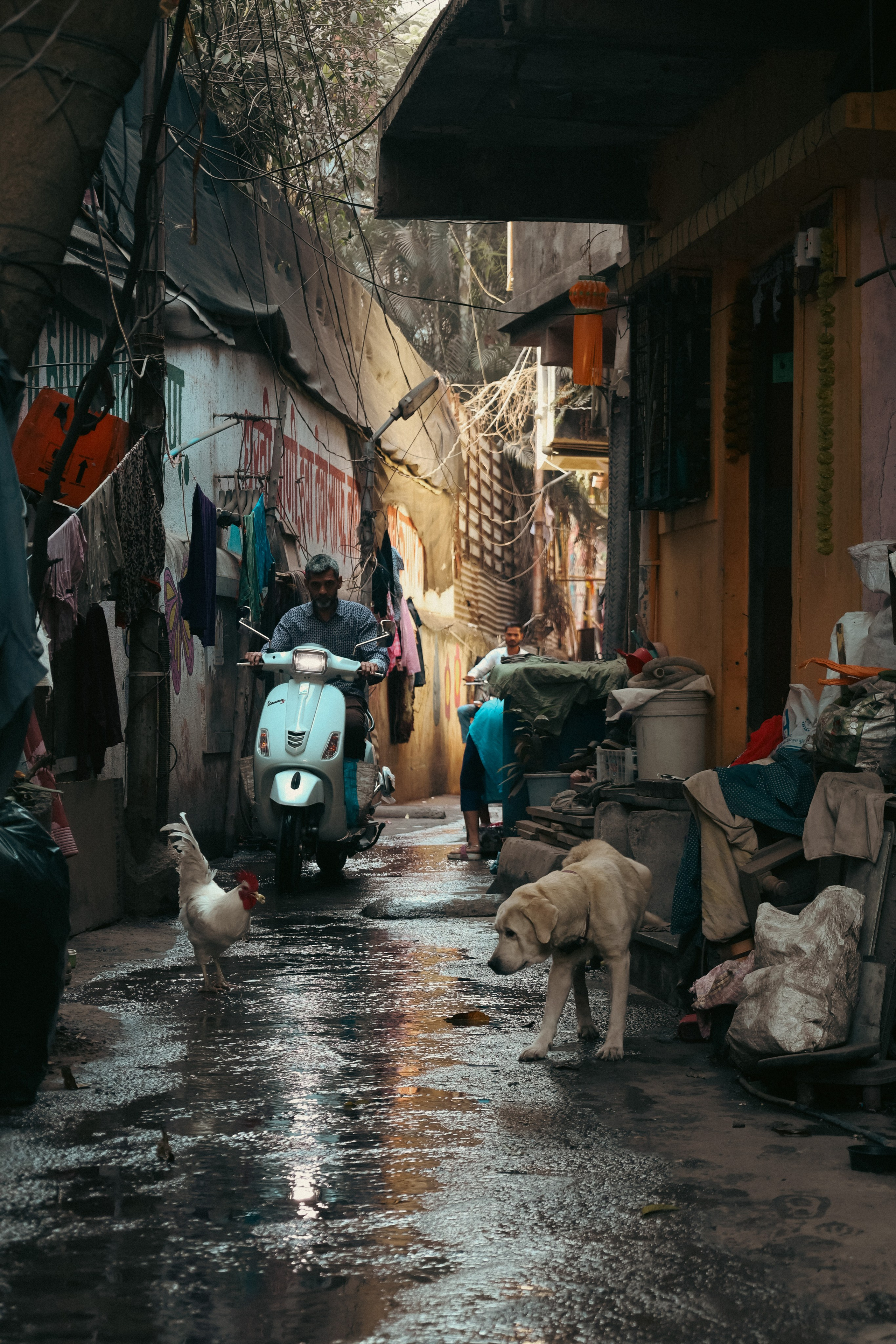 India. Фотограф в Москве