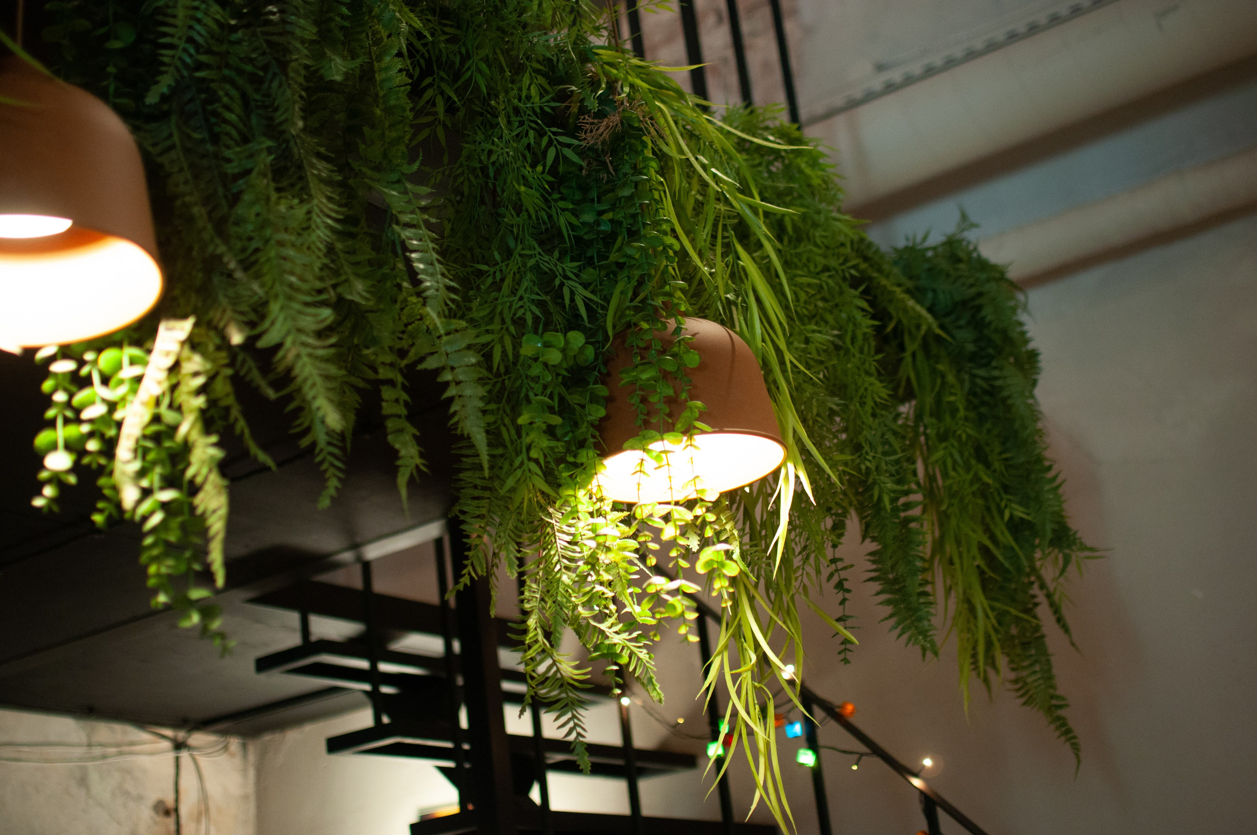 Акустический концерт. Коммерческие и индивидуальные съёмки