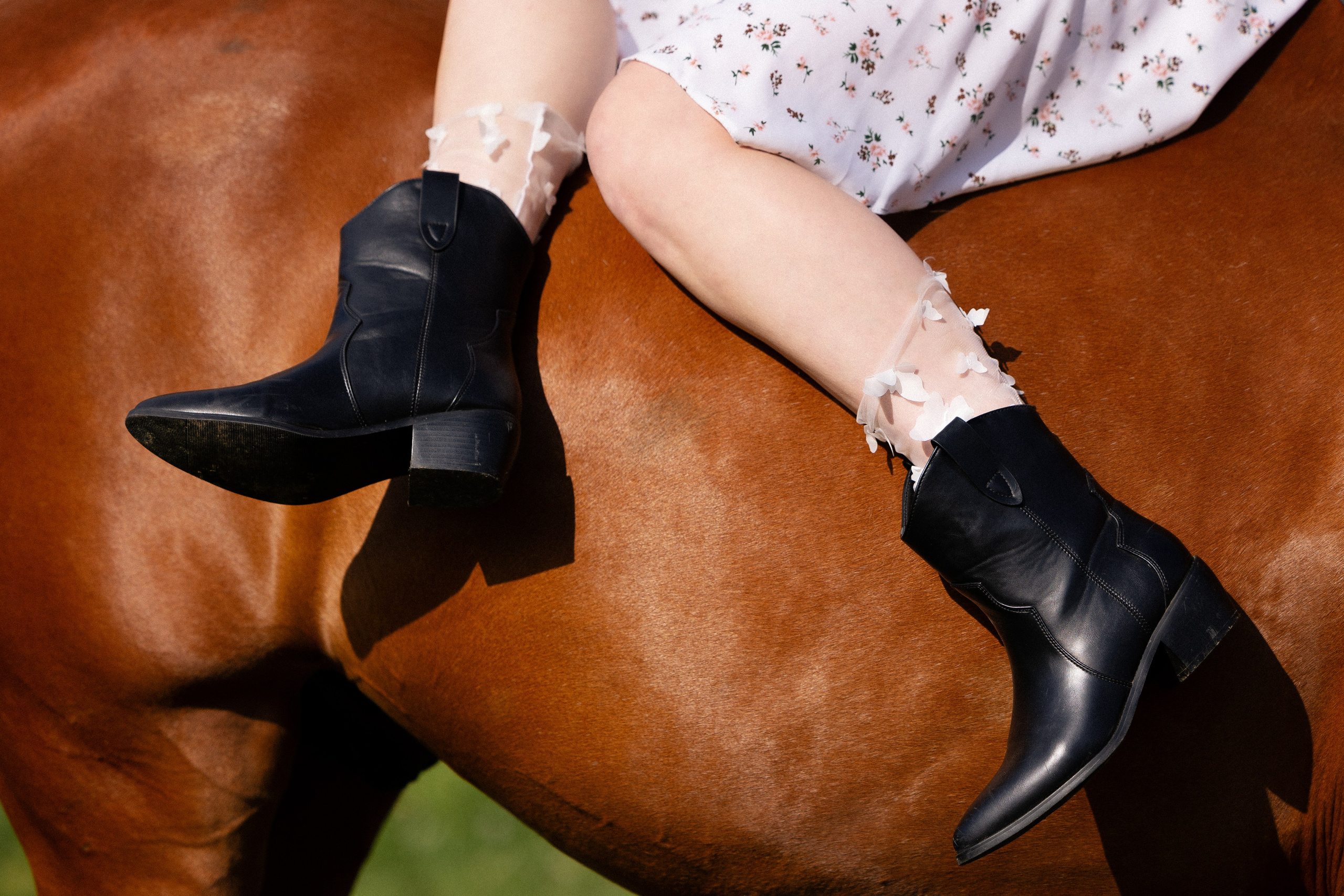 Мария и Реванш. Фотограф и видеограф анималист Аганина Дарья