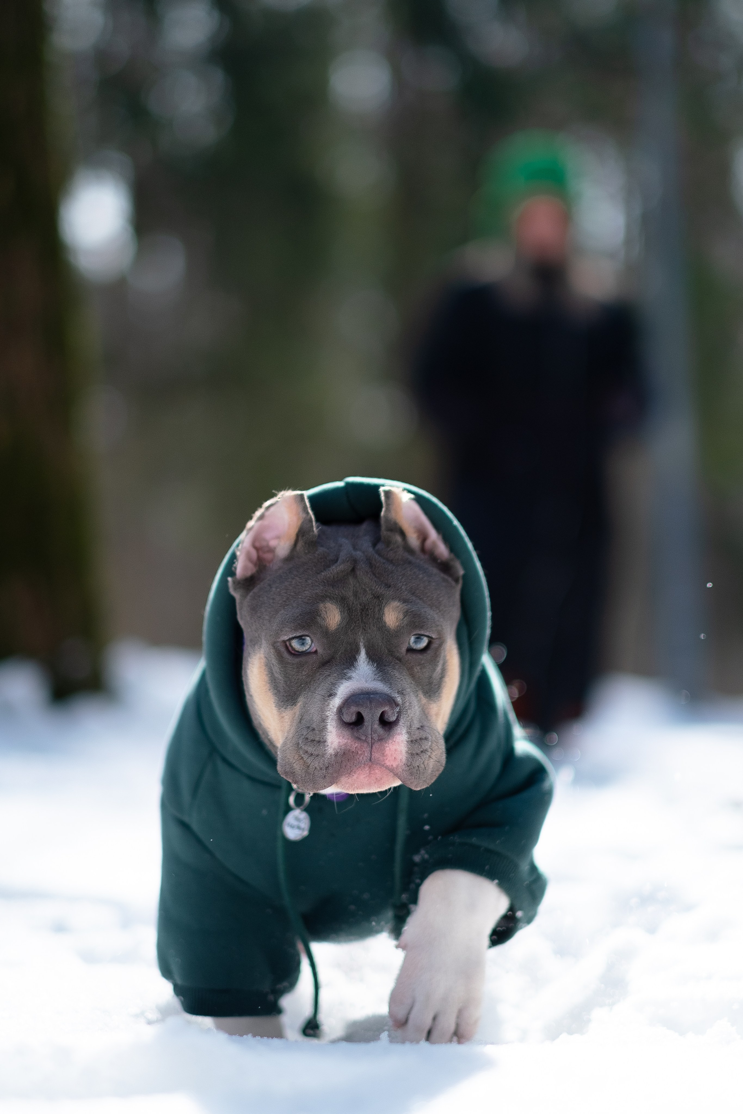 Валерия и Наган. Фотограф и видеограф анималист Аганина Дарья