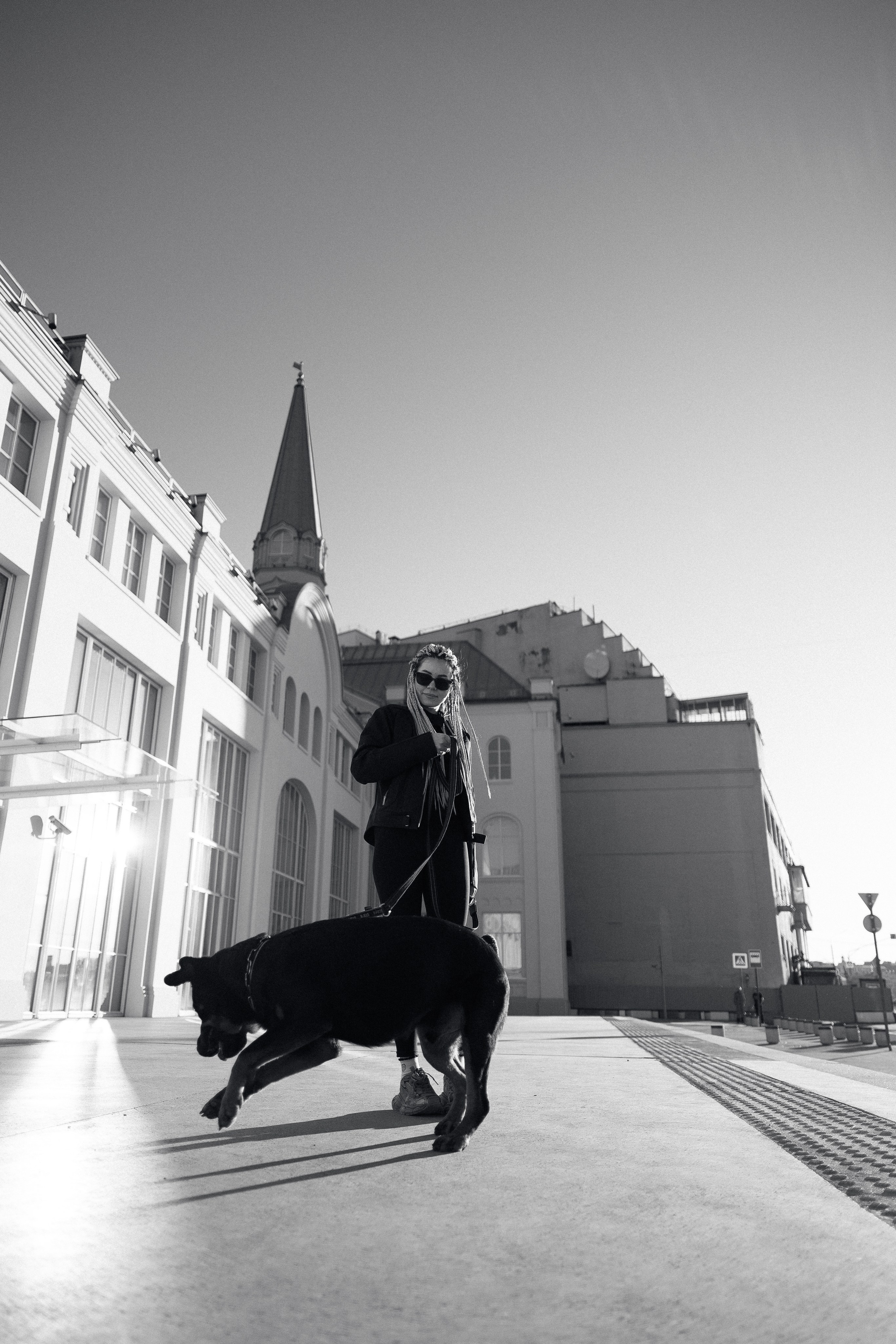 Катя, Леша, Трой и Лея. Фотограф и видеограф анималист Аганина Дарья