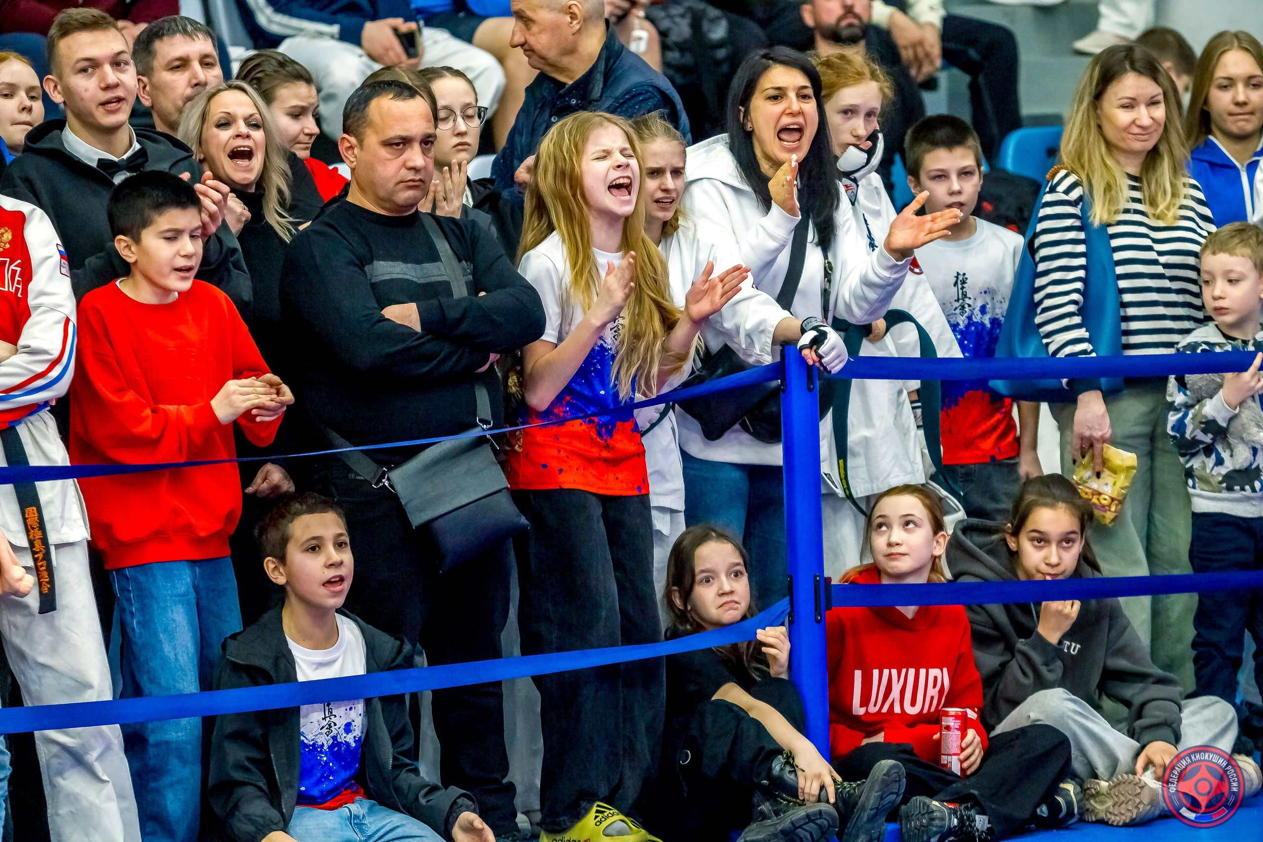 Международный турнир по киокушин «Открытый кубок Seiken». Репортажная съемка в Москве и области. Анималистика