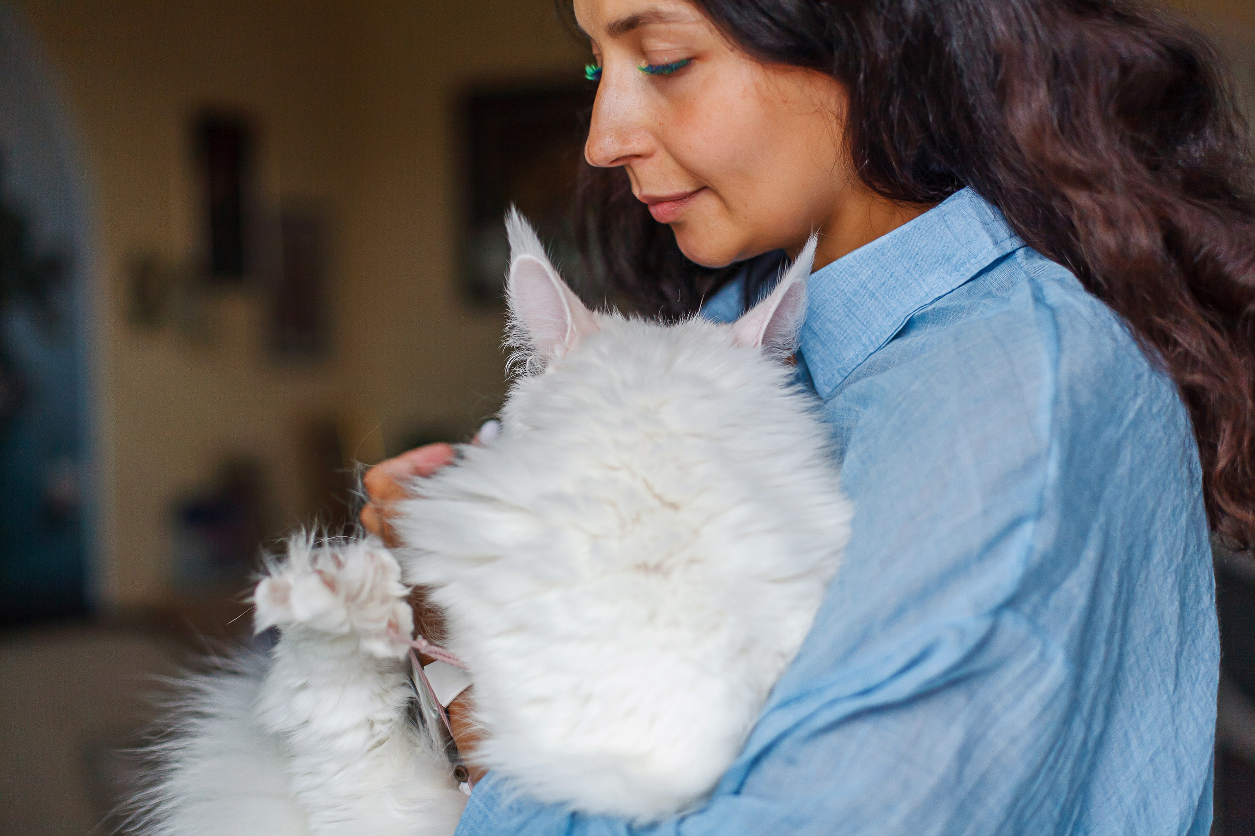 Белый кун Марсик и Яна. Фотограф Челябинск · Ольга Серебрякова