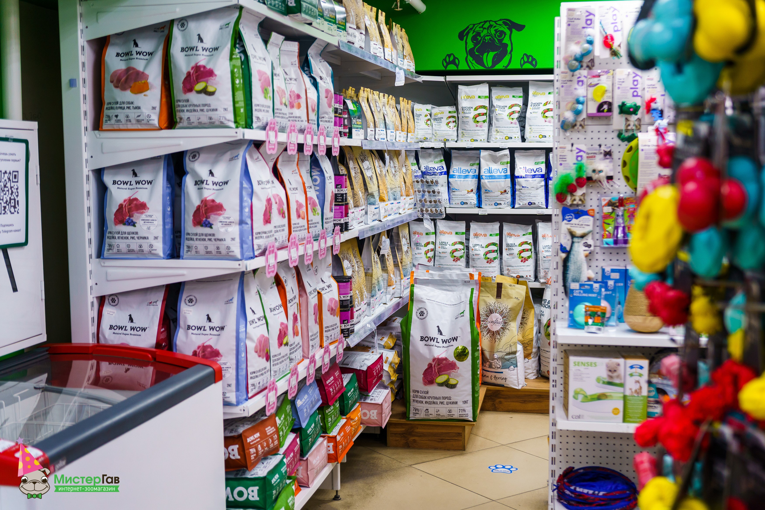 Мистер Гав -13 лет!. Фотограф Челябинск · Ольга Серебрякова