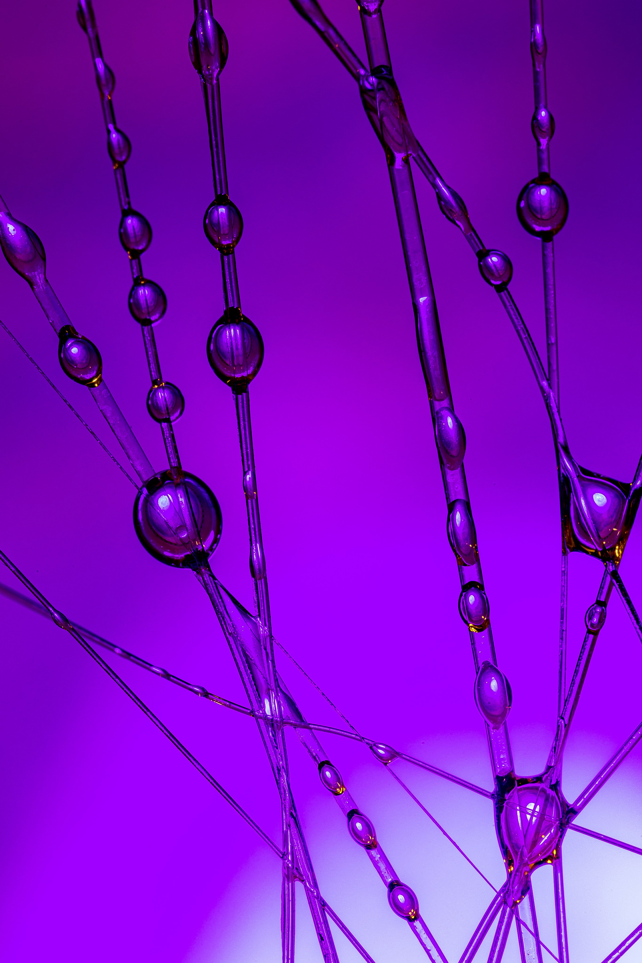 Необычные фото. Макс По — фото и видео съемки любого формата