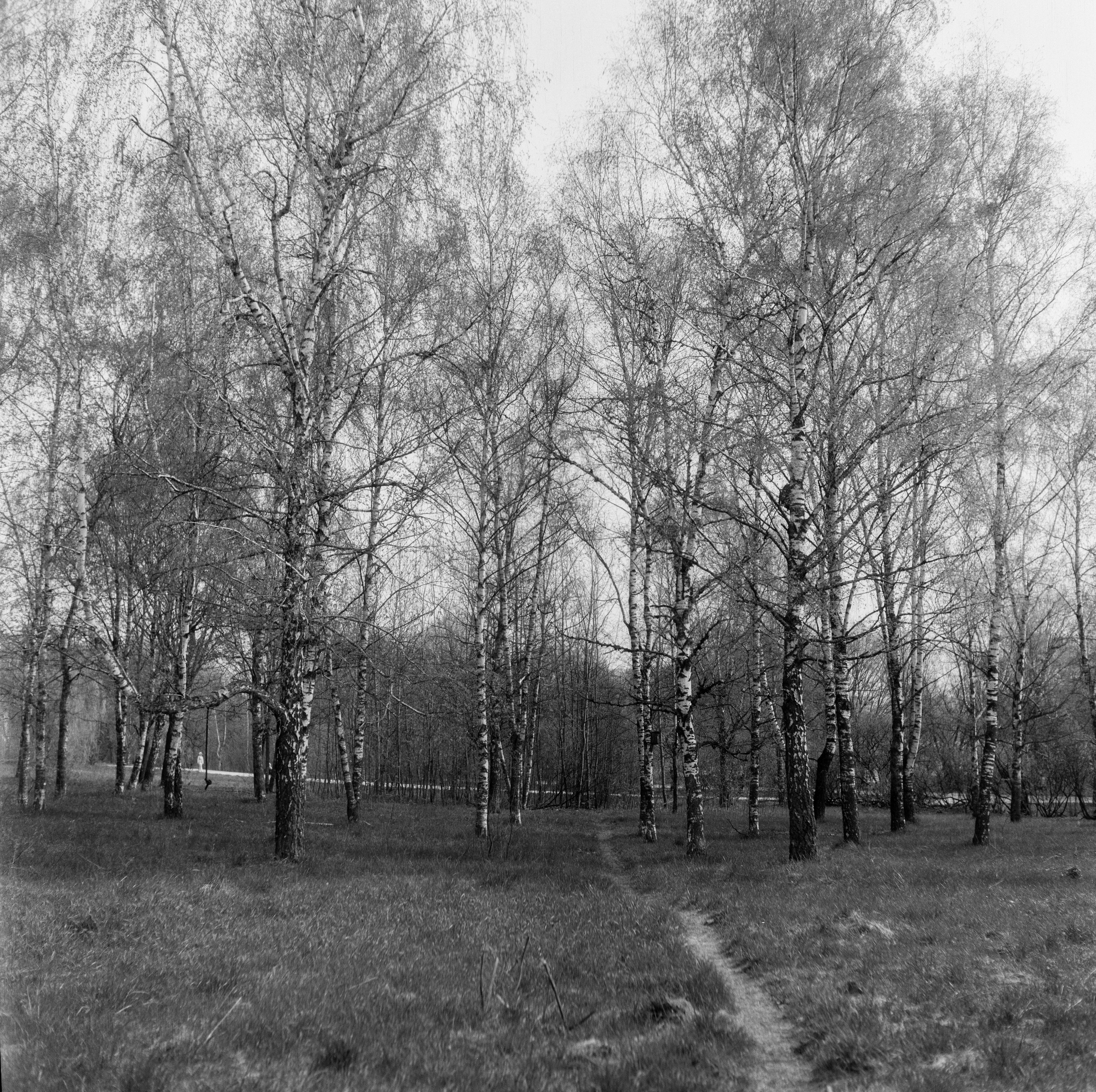 Minolta Autocord / Kodak Double-X 2405 aerographic