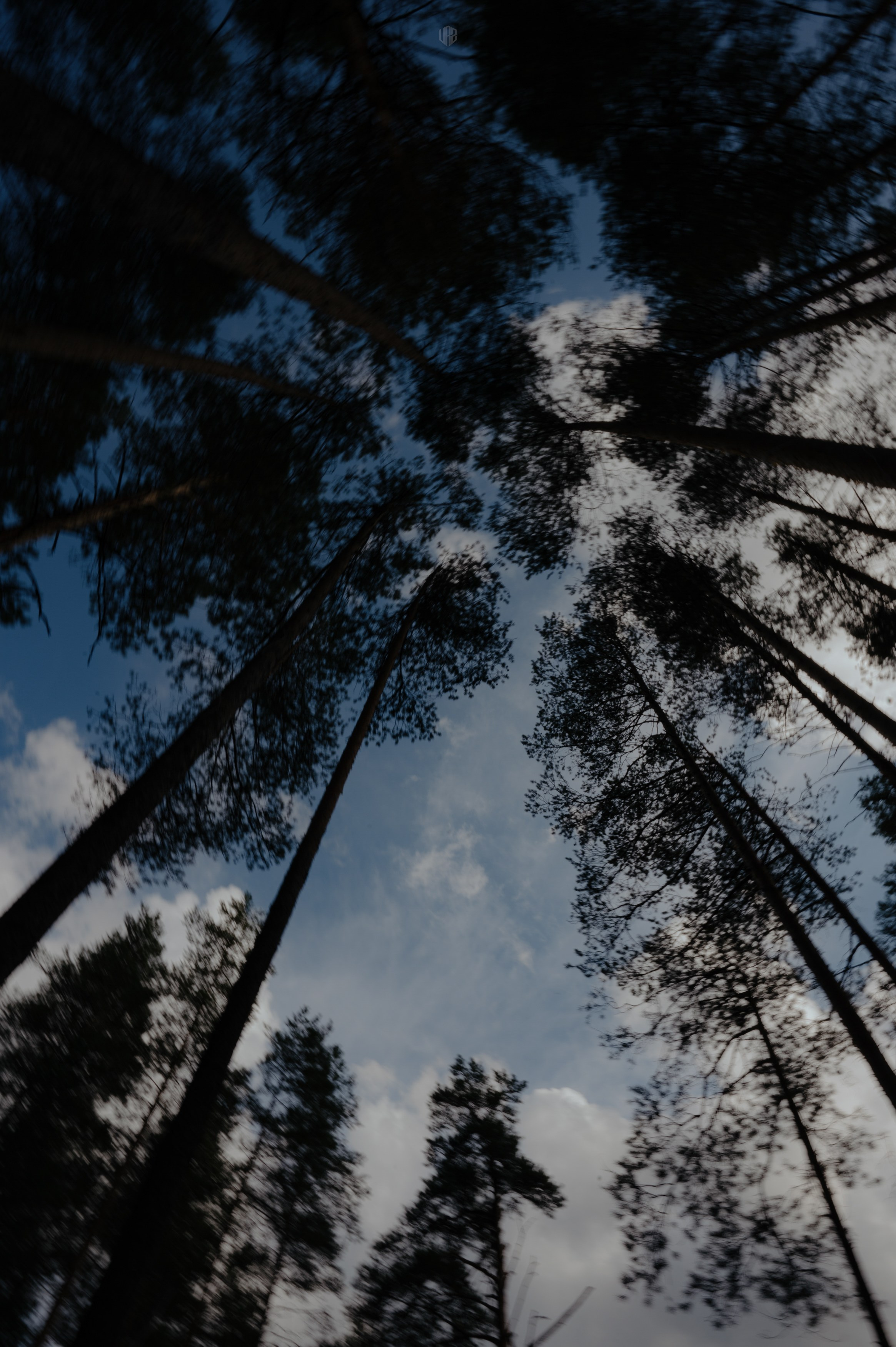 METADREAMS 2024. Контент фотограф Илья Урс