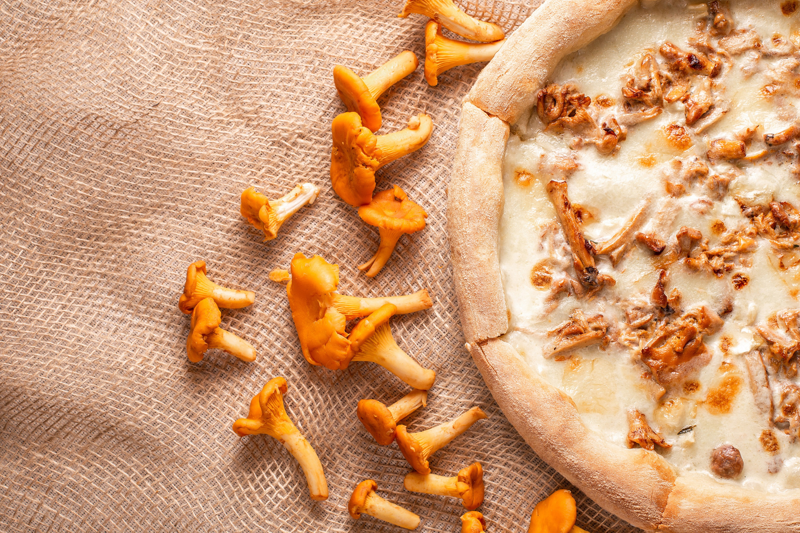 Лисички. Дмитрий Акимов фотограф в Санкт-Петербург