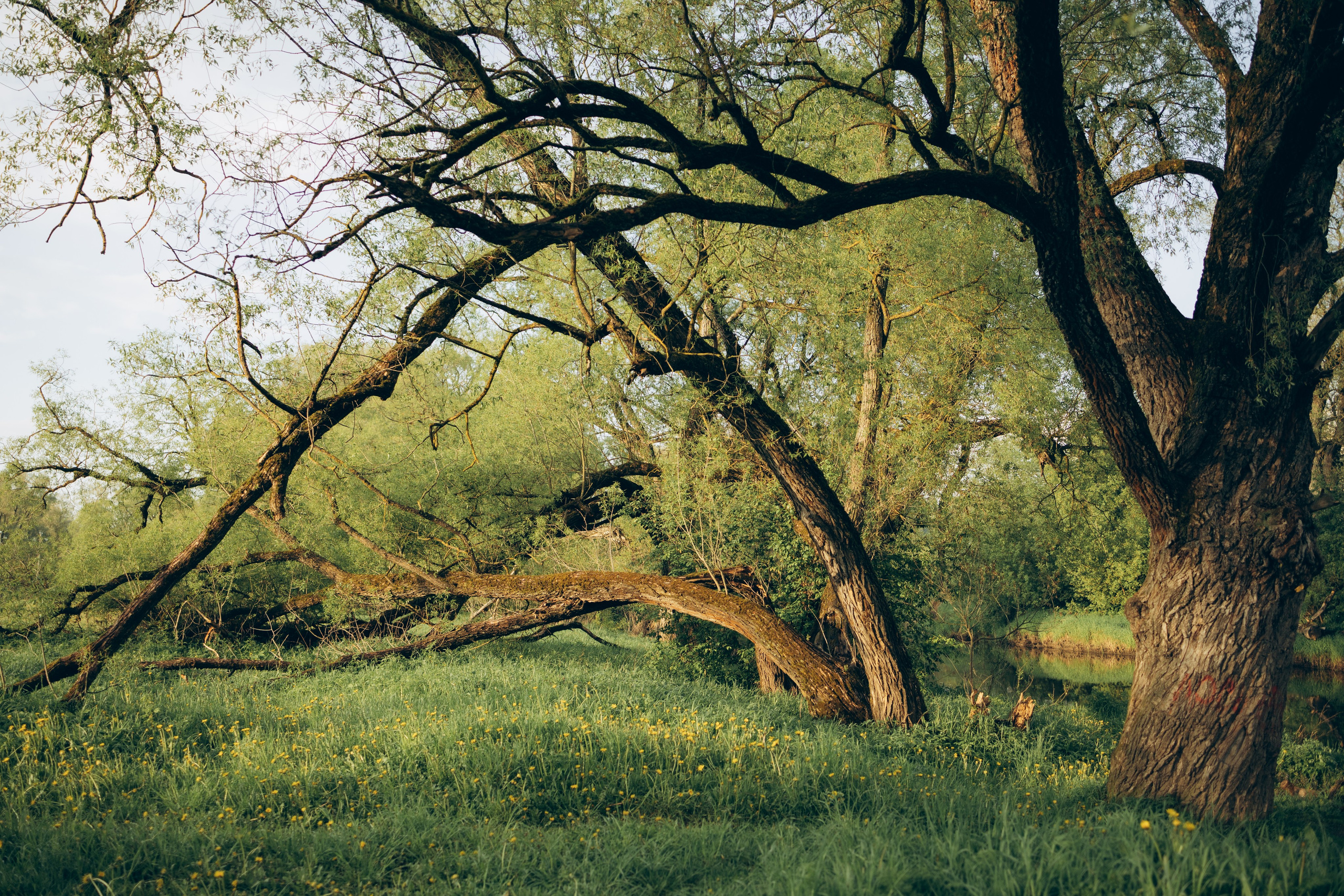 Istra. Женский фотограф Истра