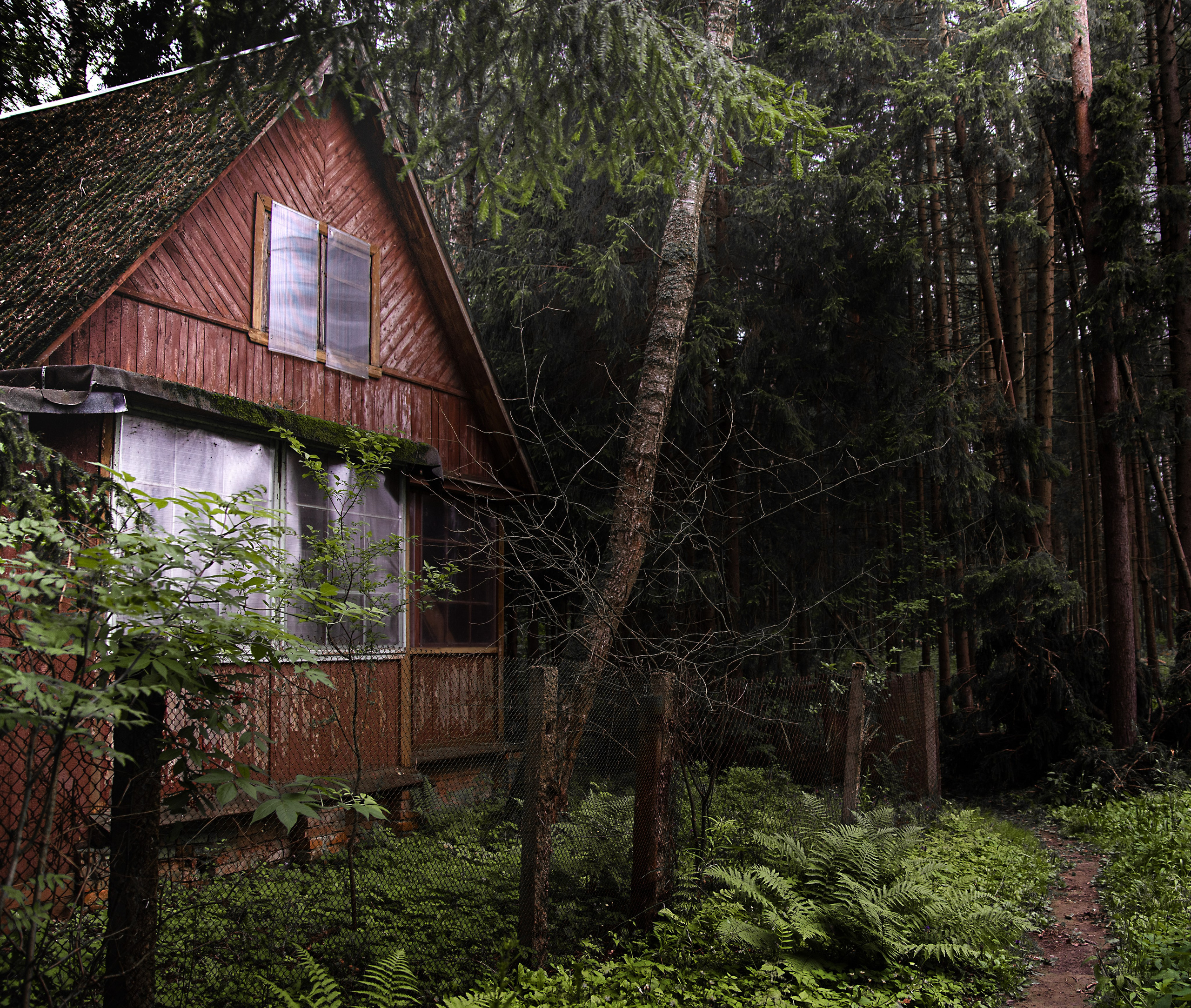 Goblincore, природа, фэнтези, нечисть, лес, гоблинкор, эльфы, фотосессии, костюмированные