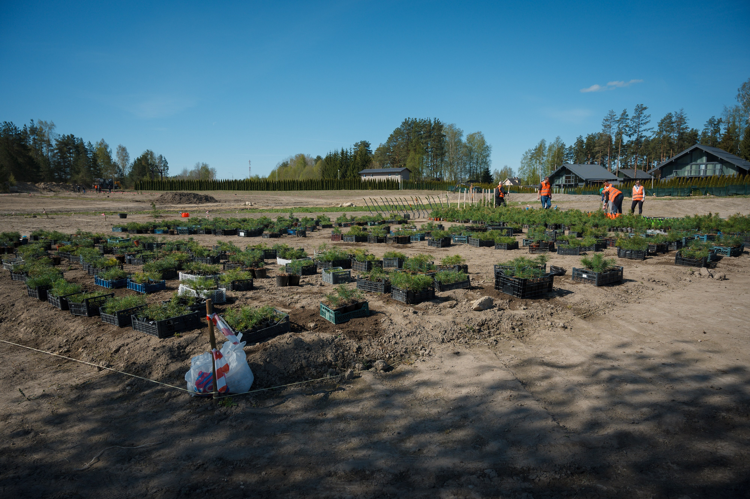 Кедровый парк Biotropika. Ваш свадебный и репортажный фотограф в Санкт-Петербурге Вячеслав Ивахненко