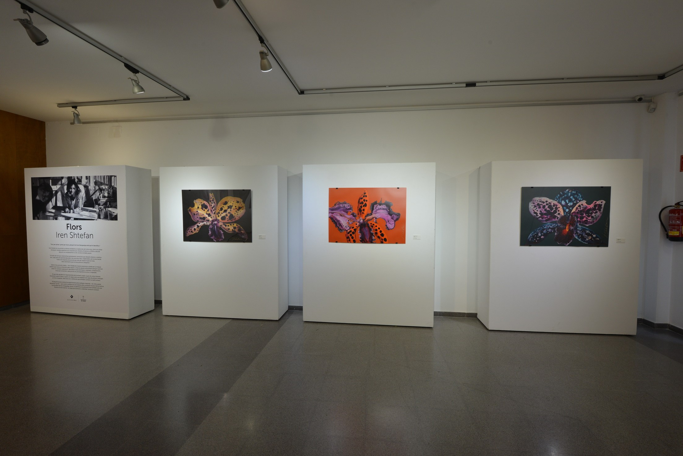 Exposición de Arte Abstracto. Fotógrafo Aleksandr Rybintsev