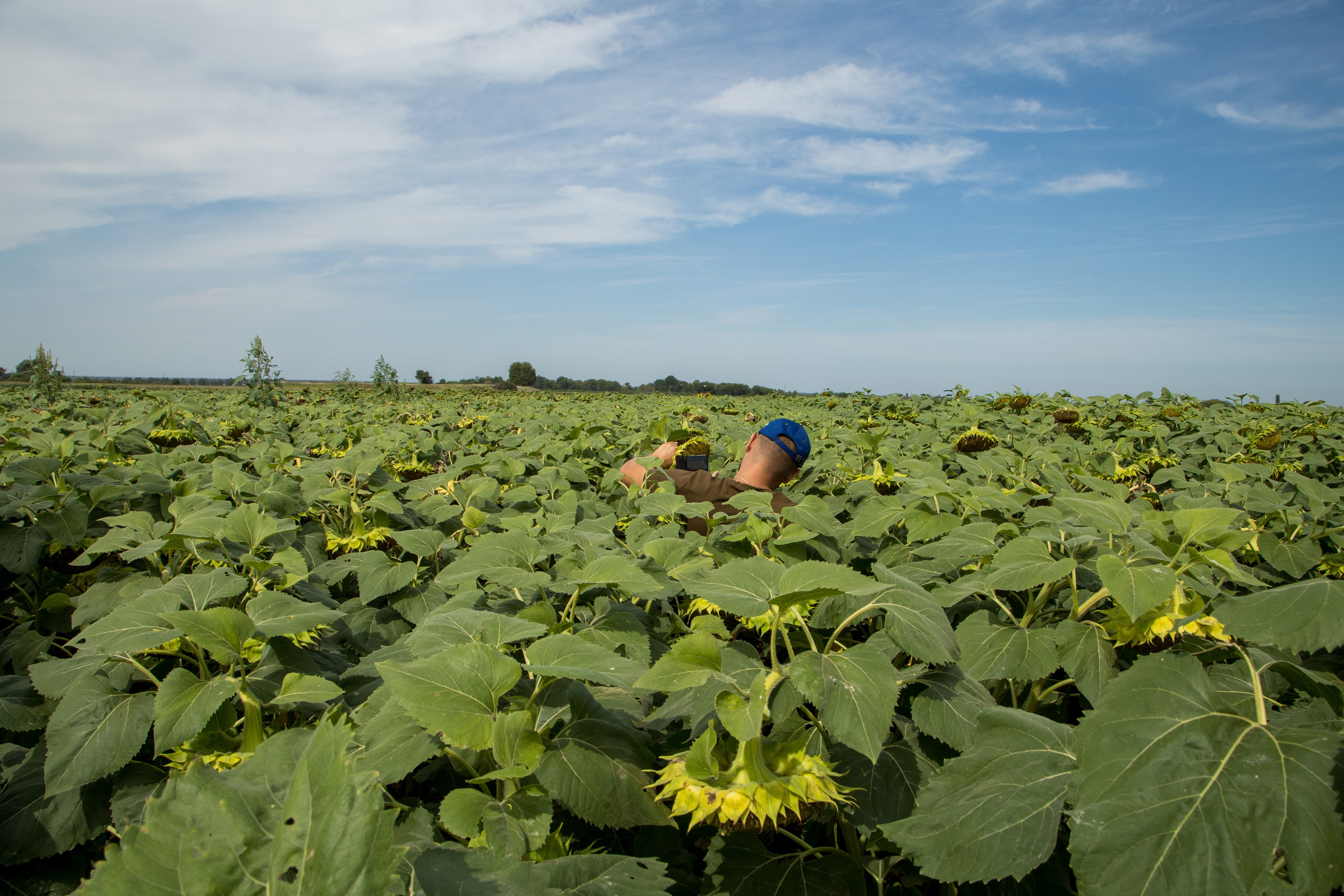 Решения для сельского хозяйства BASF 16.08.2022. Владислав Волков | Фотография и видеосъемка в Воронеже