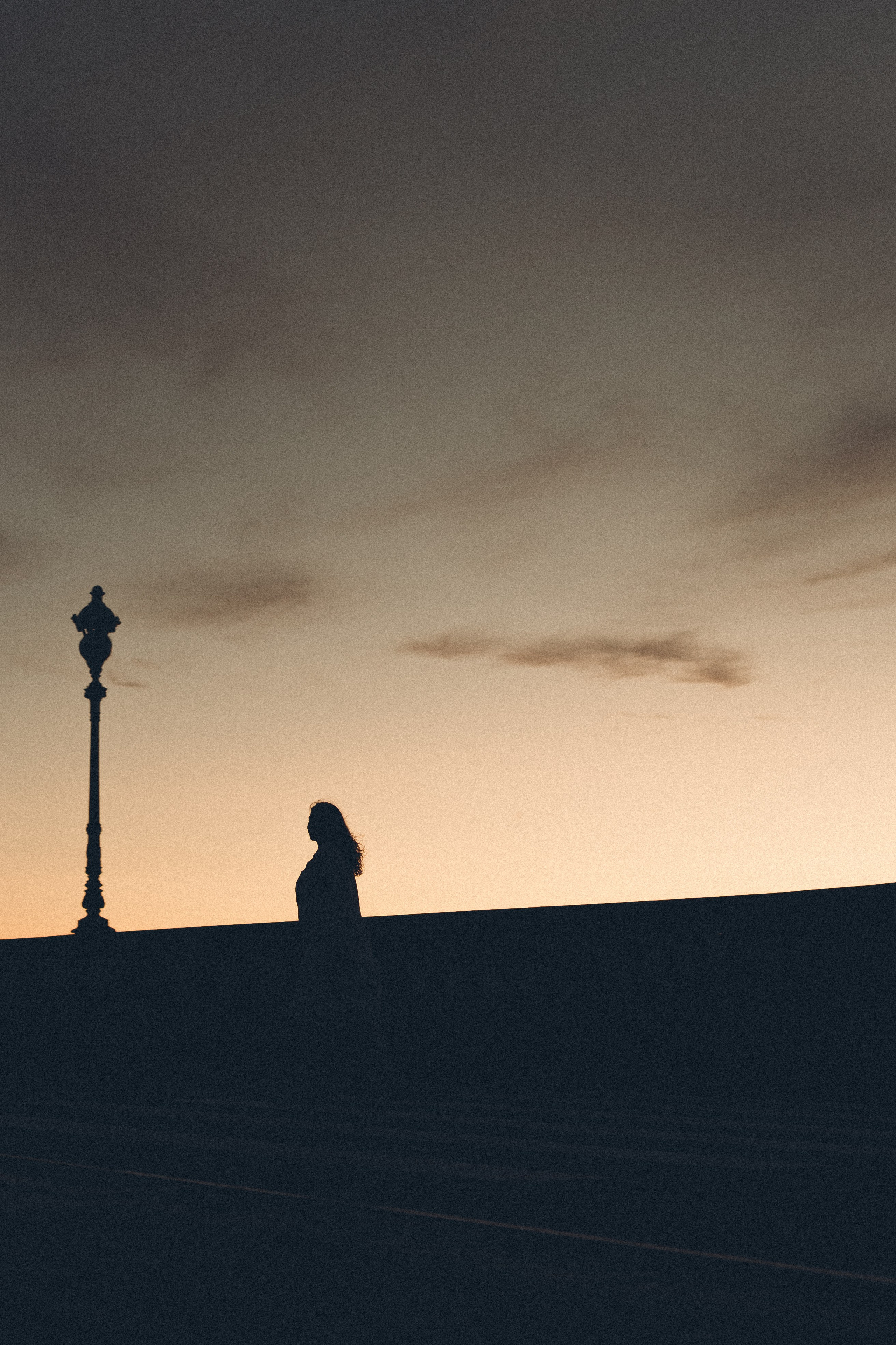 РАССВЕТ С РАЗВОДНЫМИ МОСТАМИ. Профессиональный фотограф, Санкт-Петербург — Виктория Богомолова