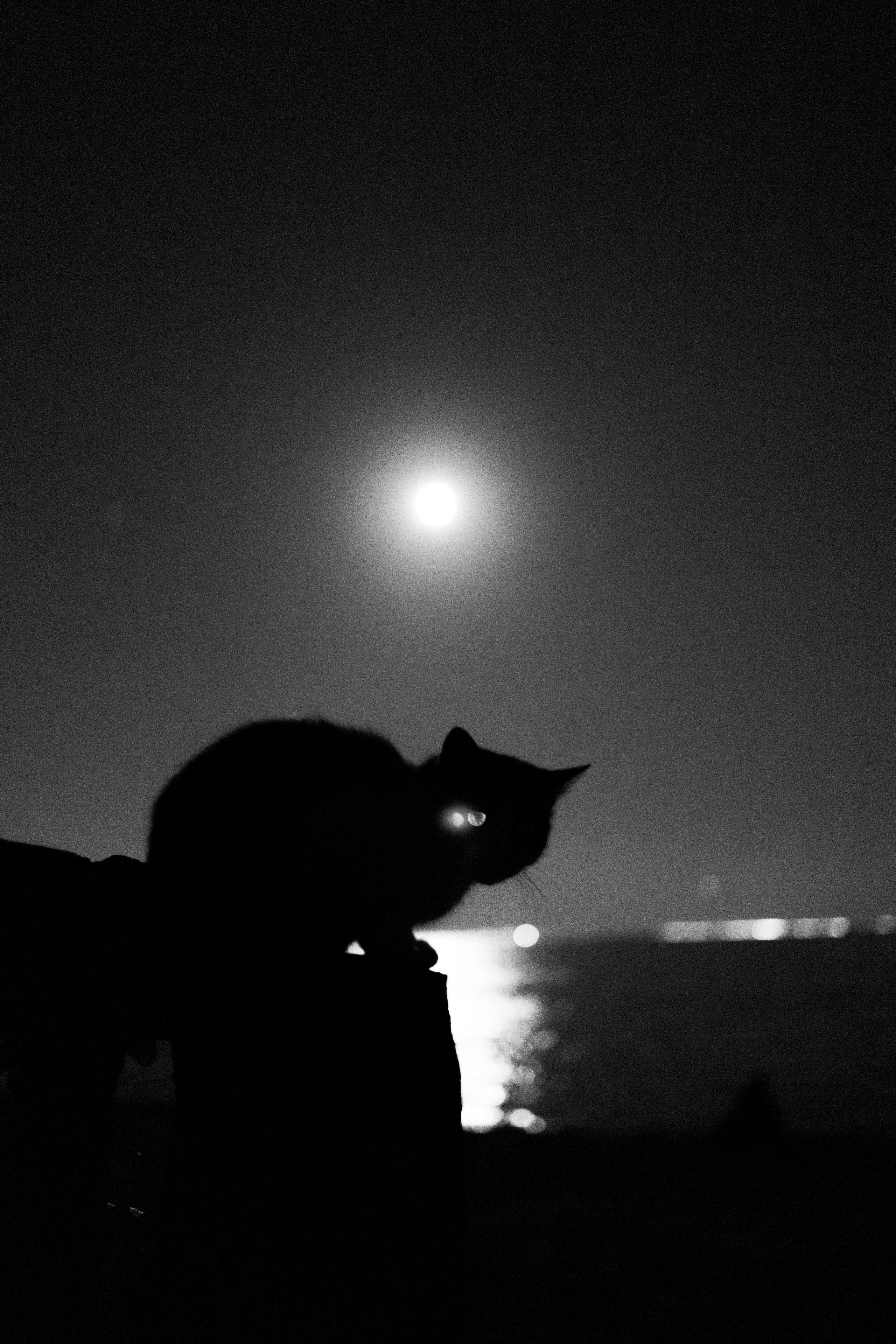 Середина нигде. Варвара Бабёнышева