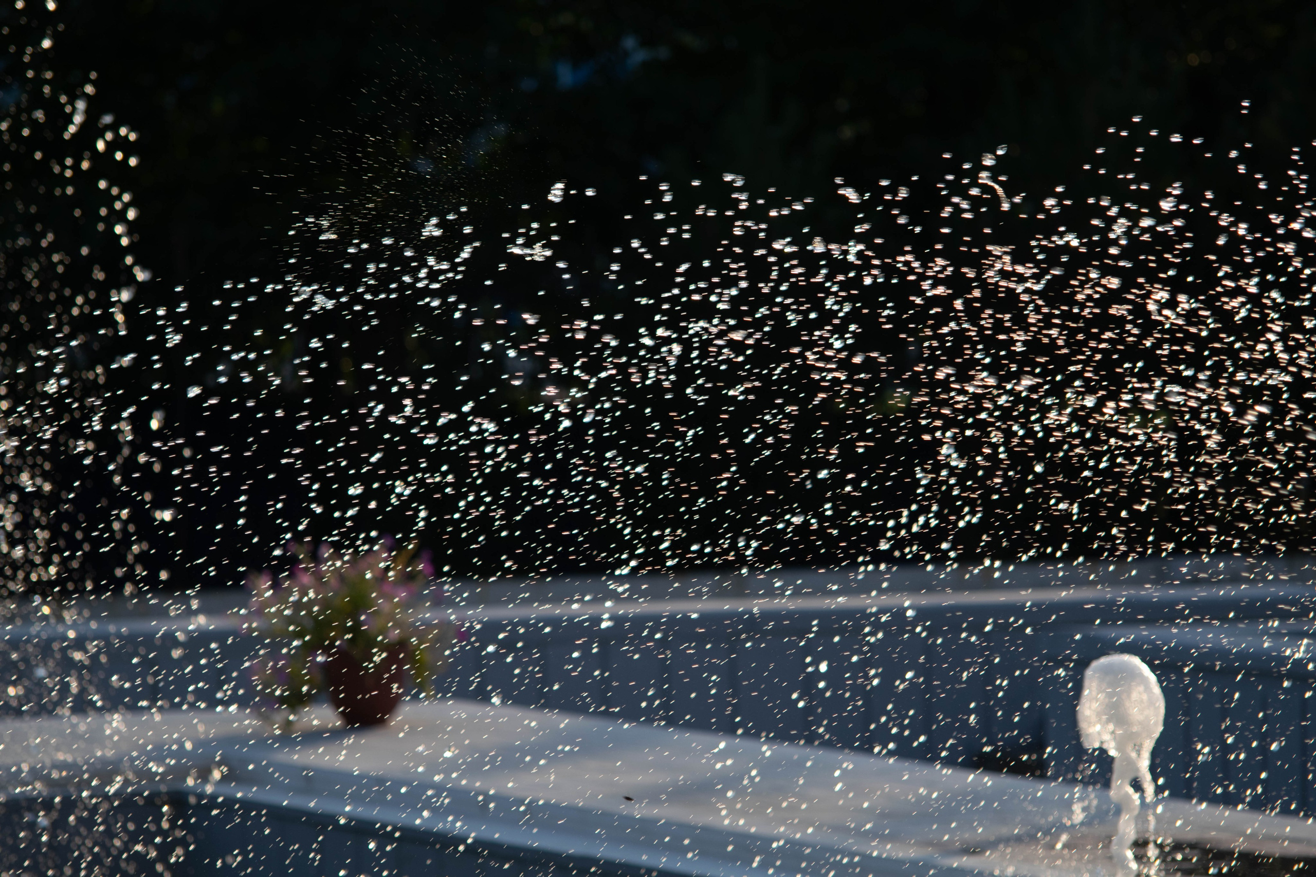 Street. Фотограф в городе Омске Константин Зоткин