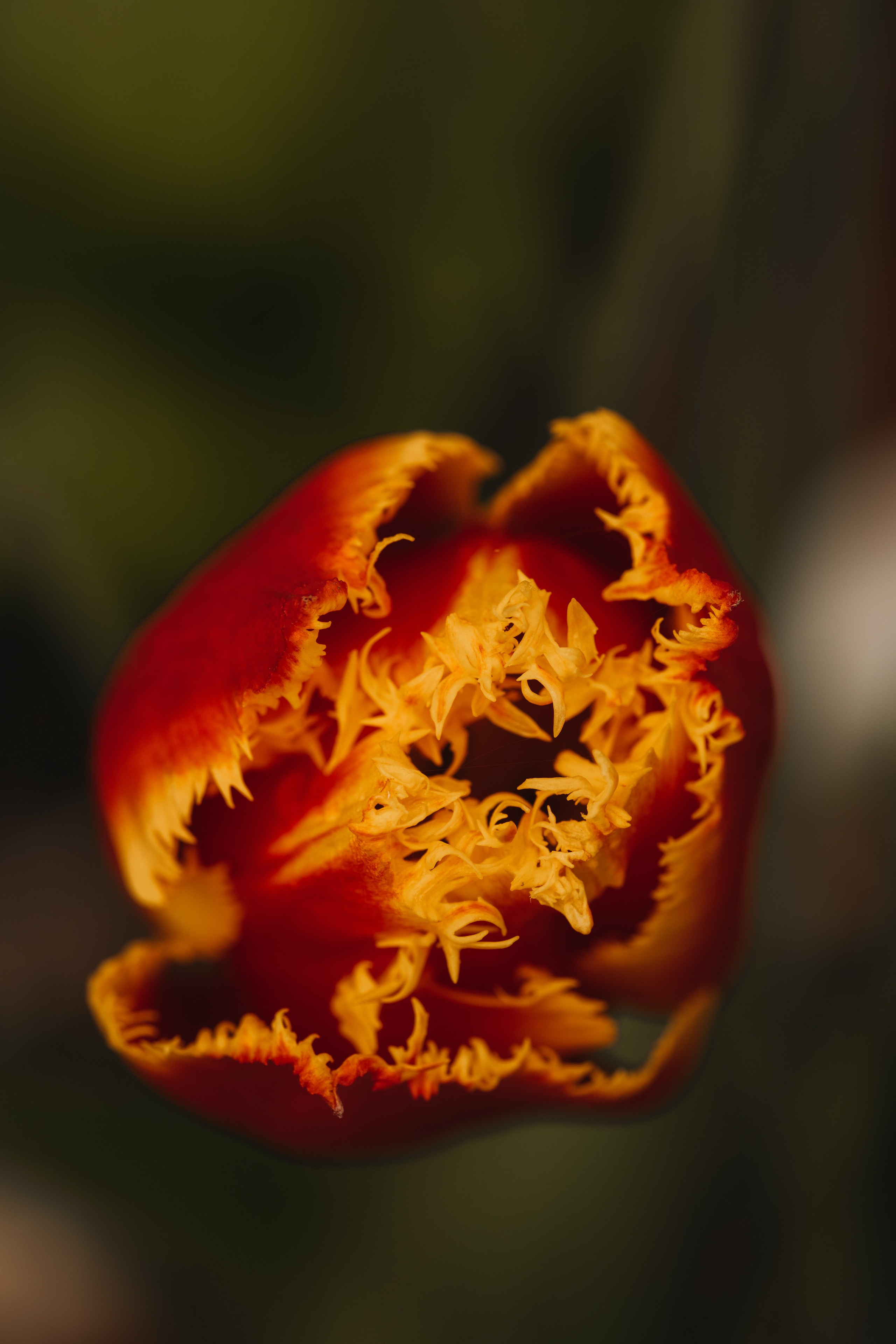 Macro. Фотограф на Юге России