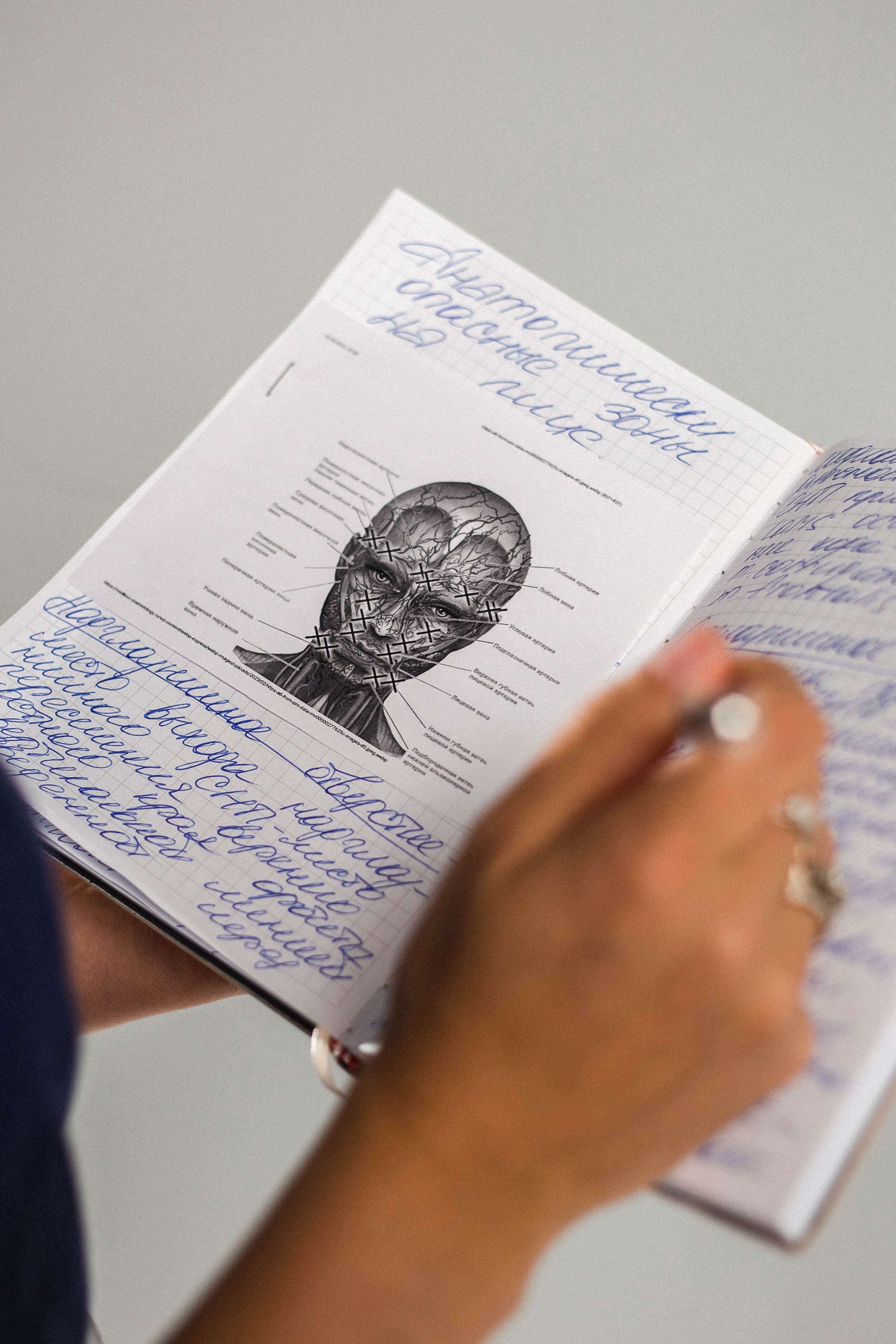 Елена. Портретный, семейный, свадебный фотограф в Брянске Маргарита Василькова