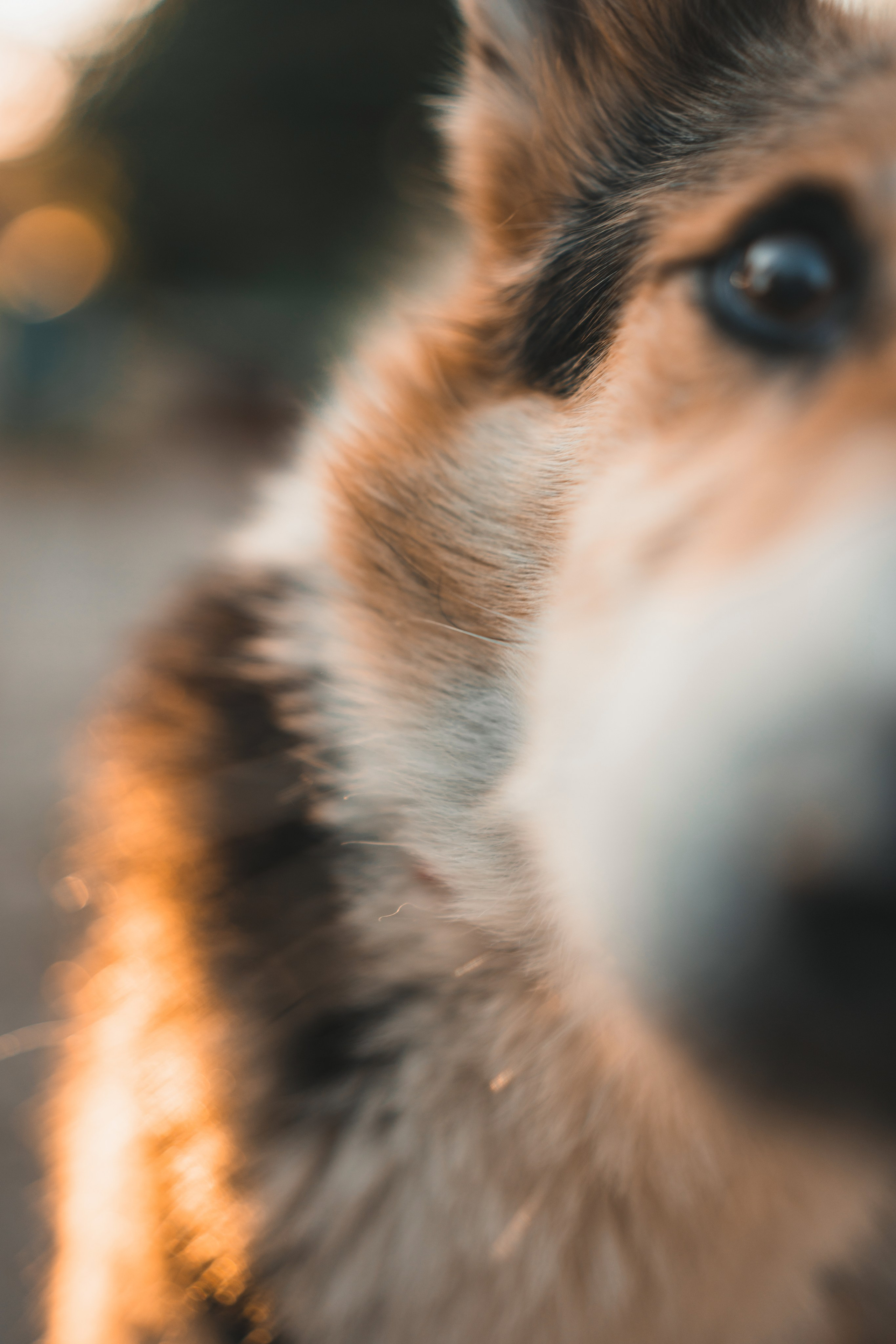 СЪЕМКА НА УЧАСТКЕ. Семья Юлии. Фотограф Марта Козел. Гродно, Беларусь
