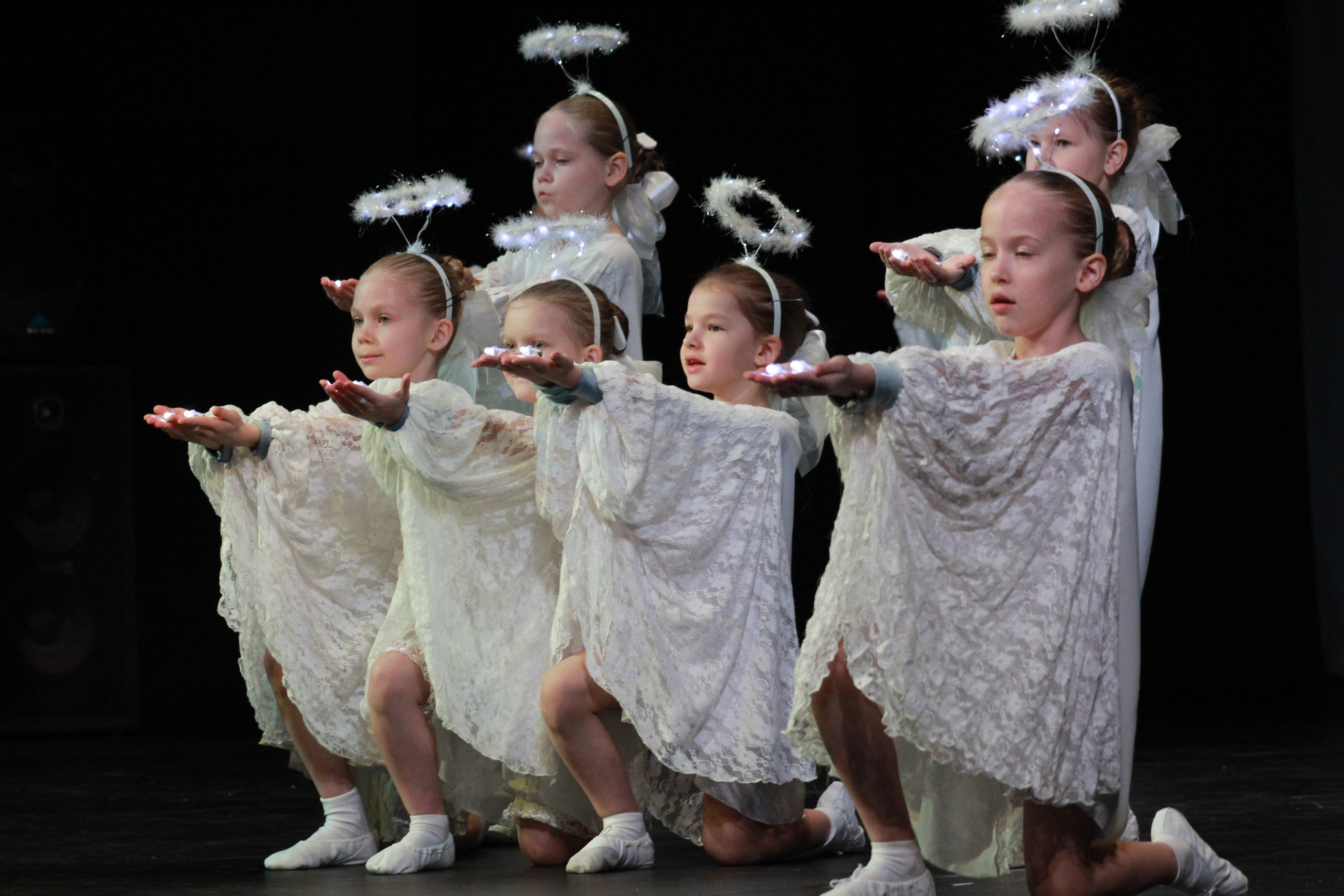 15 декабря, г. Архангельск. Золотое яблочко