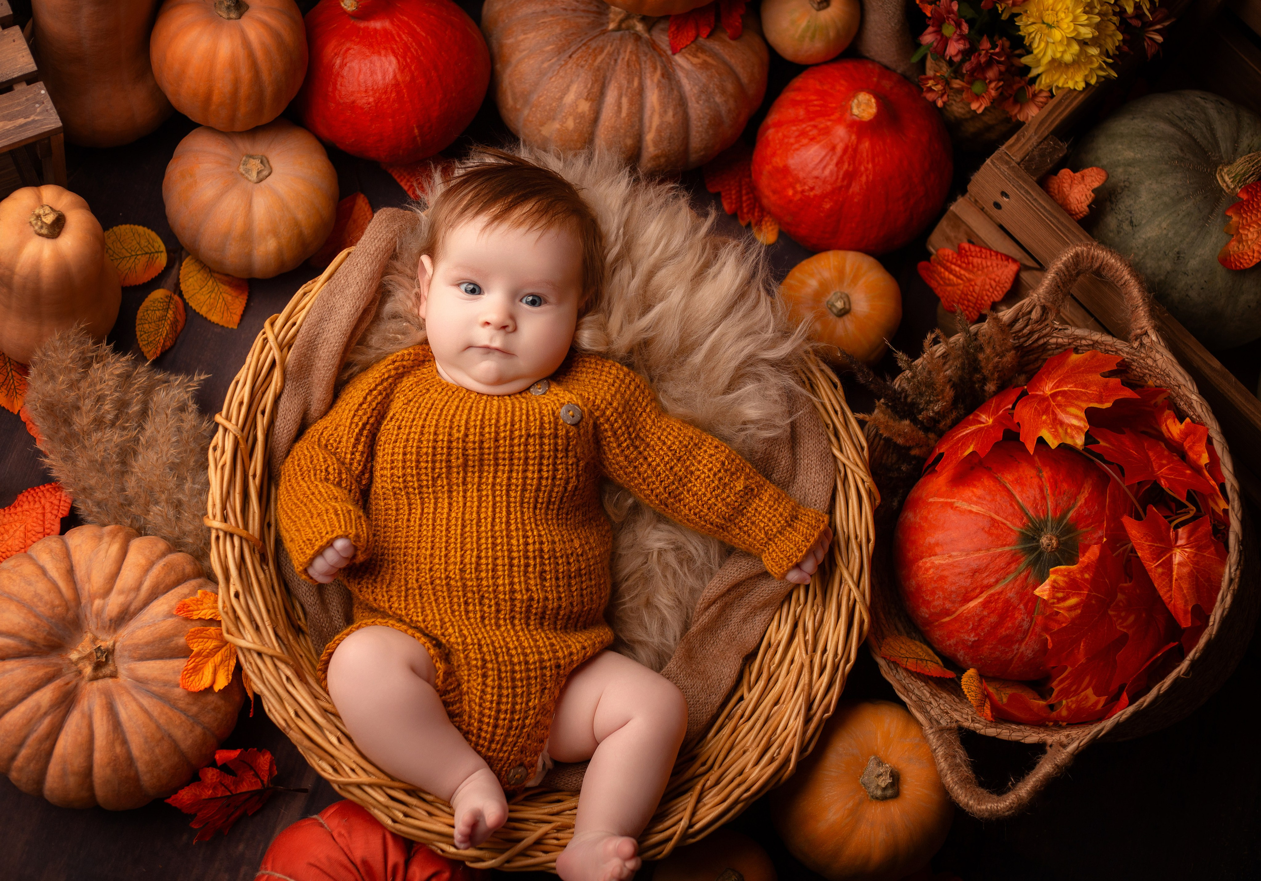 Фотопроекты. Детский фотограф в Няндоме Ариана Арсеньева