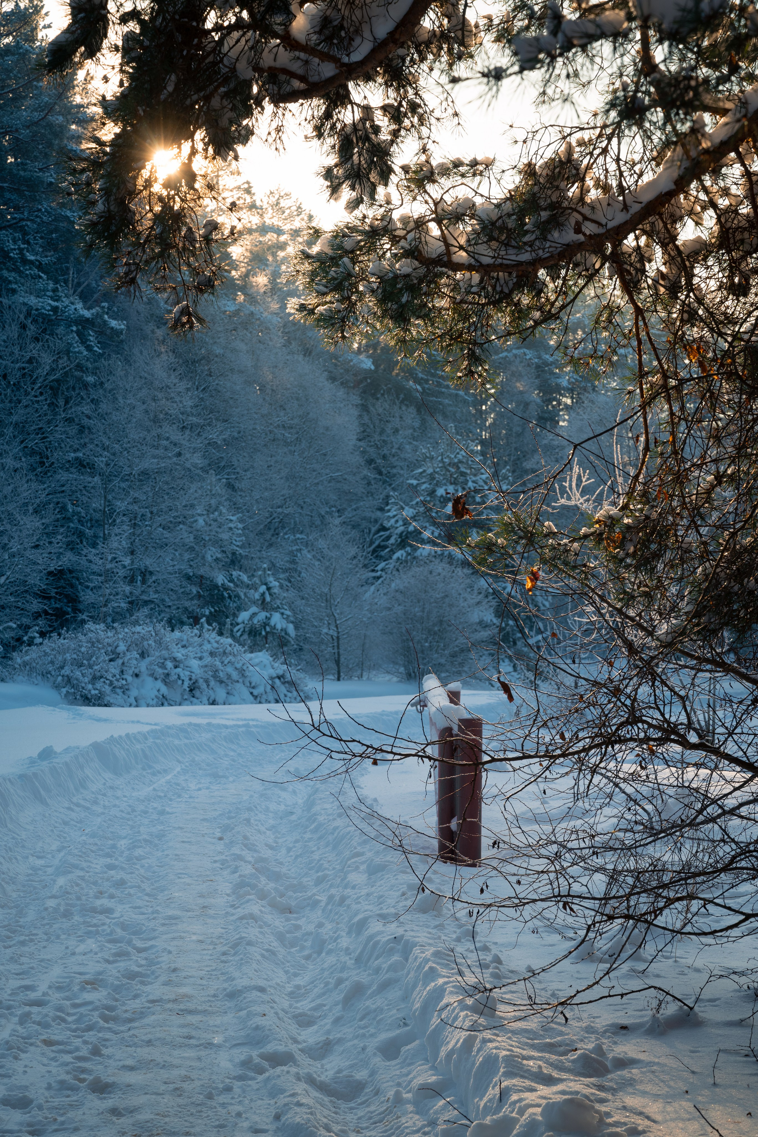 Места. Фотограф в Минске Дарья Кончакова