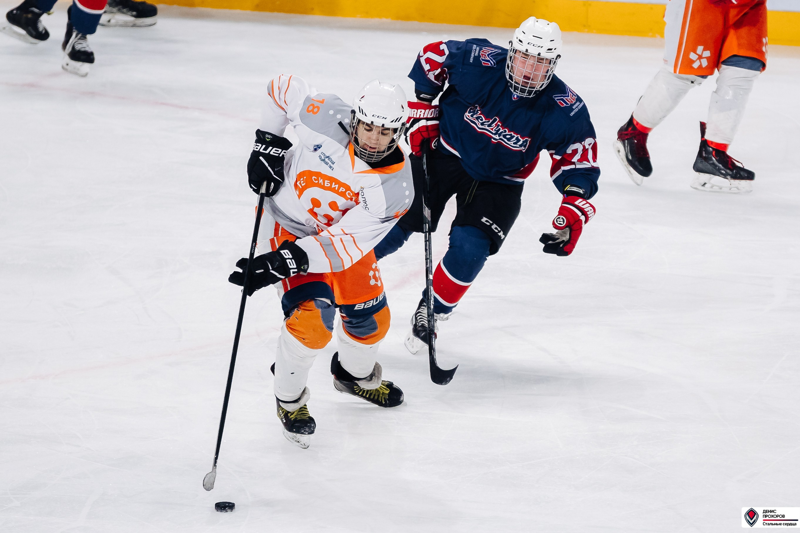 «Стальные сердца» — «СФУ» // 07-08.02.25. Денис Прохоров Фотограф в г. Магнитогорск