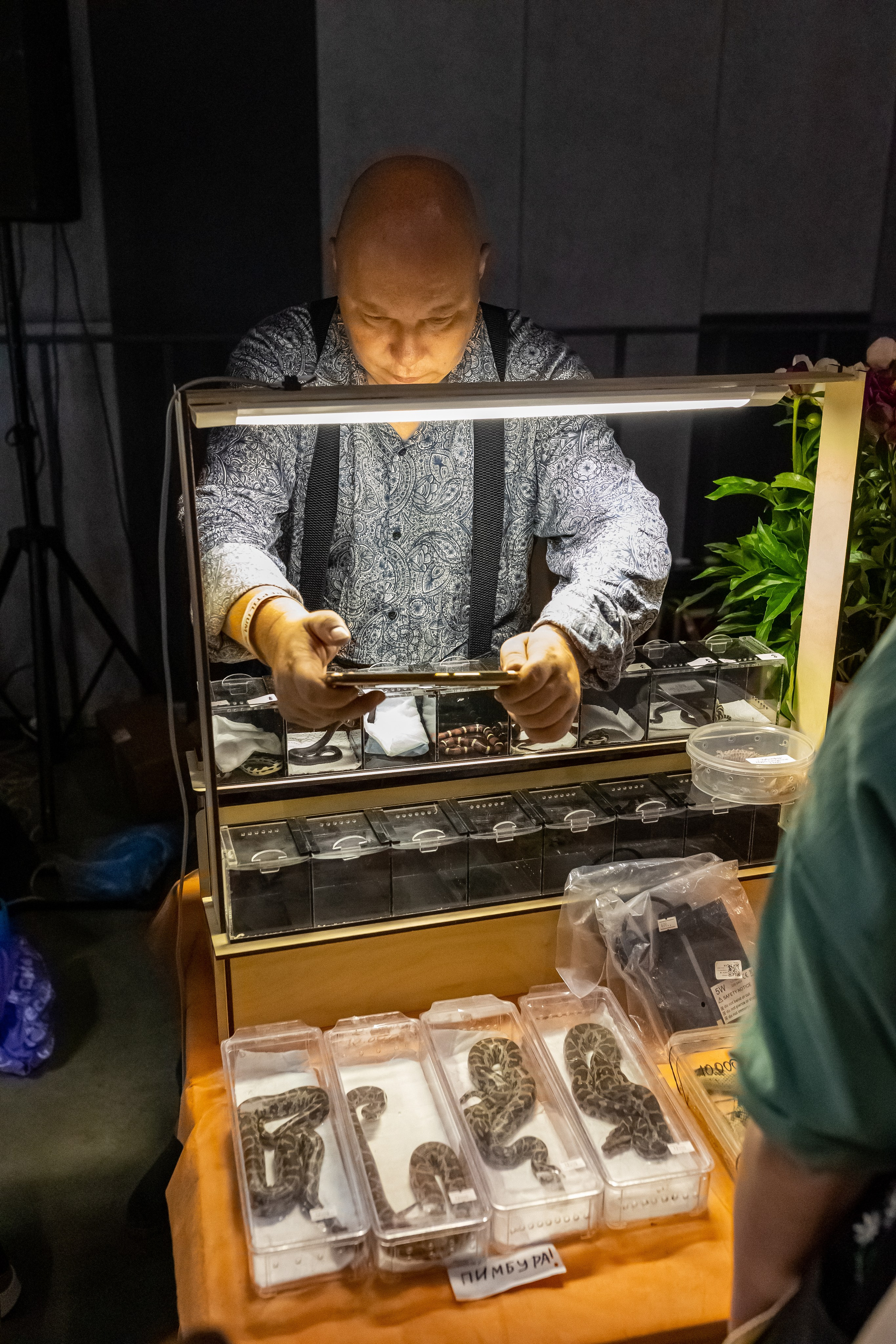 Рептилиум 2024. Александра Куликова фотограф, Москва