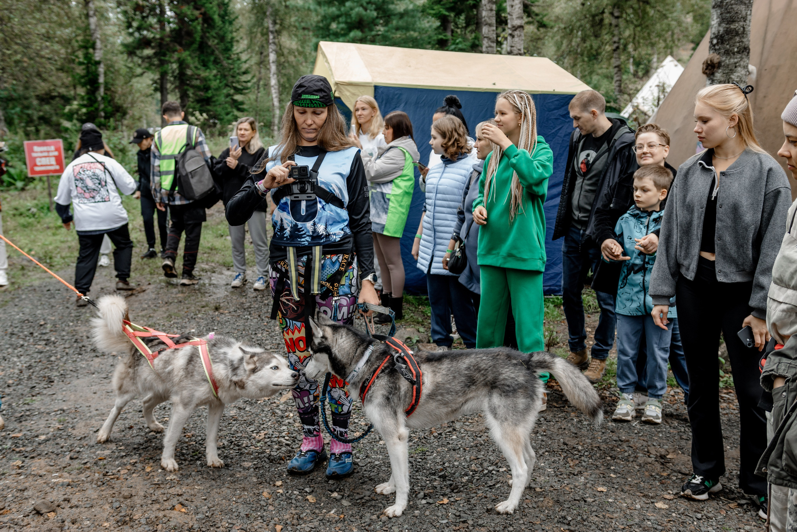 Дог-треккинг