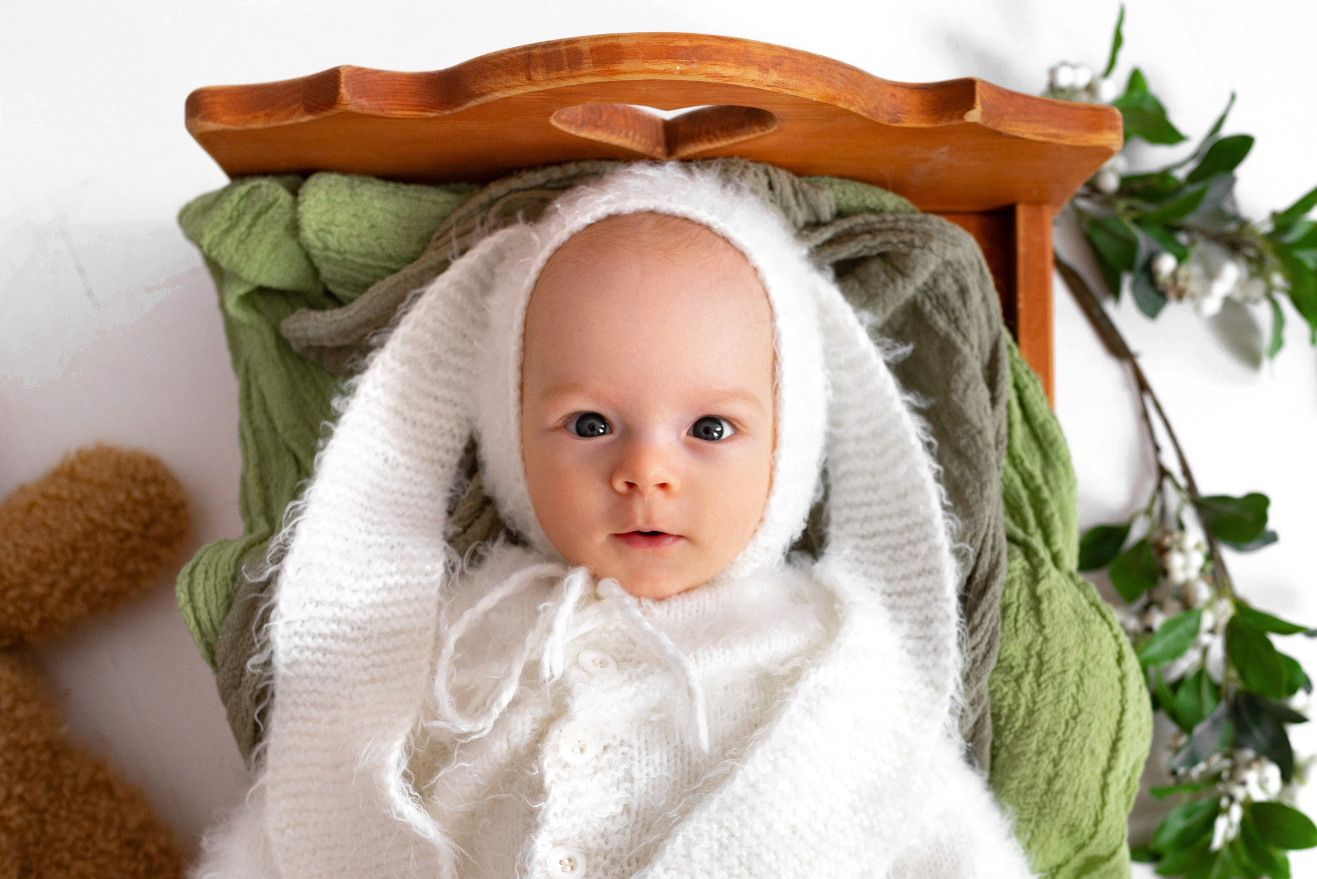 Лев (3 месяца)