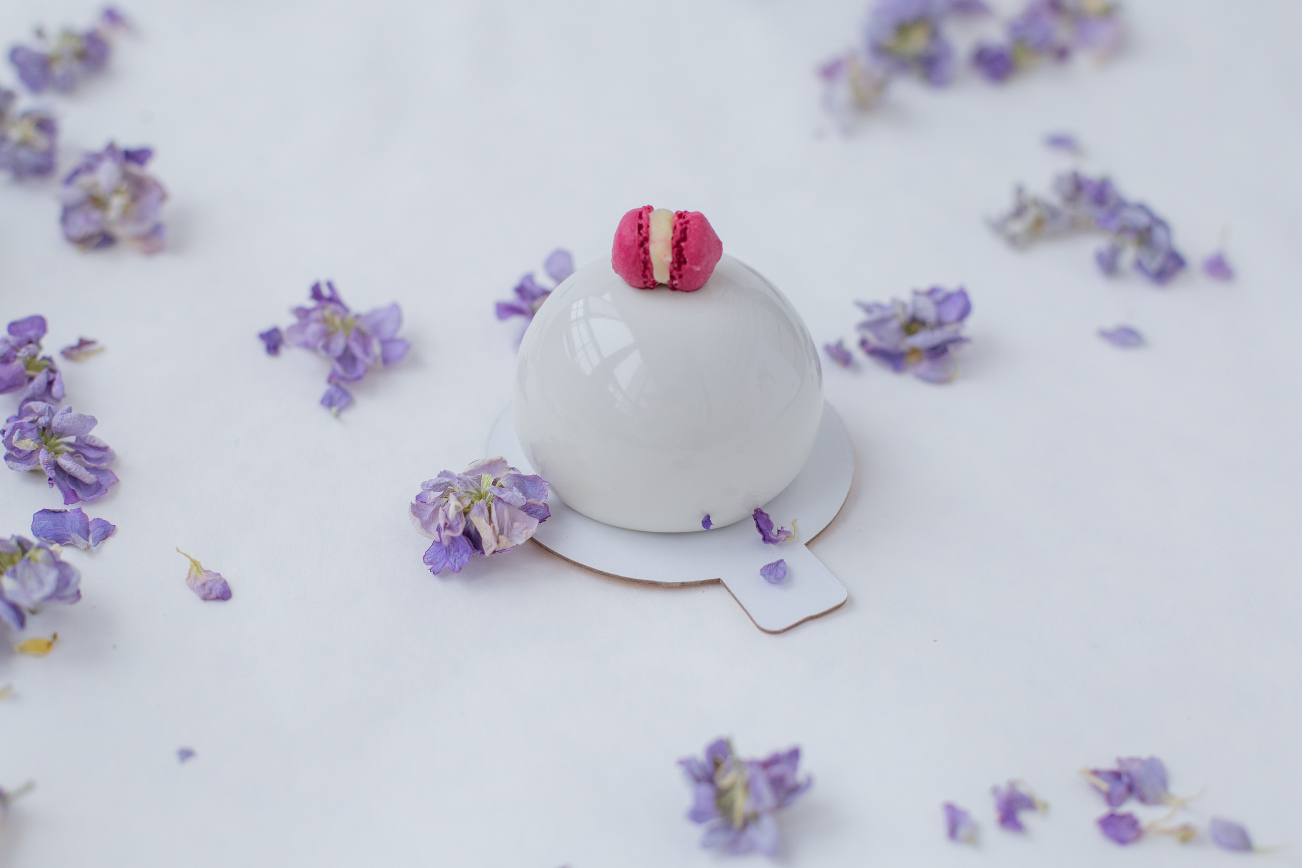 BitterSweet. Fotograf u Crnoj Gori-porodično fotografisanje sa djecom, lovestory, nekretnine