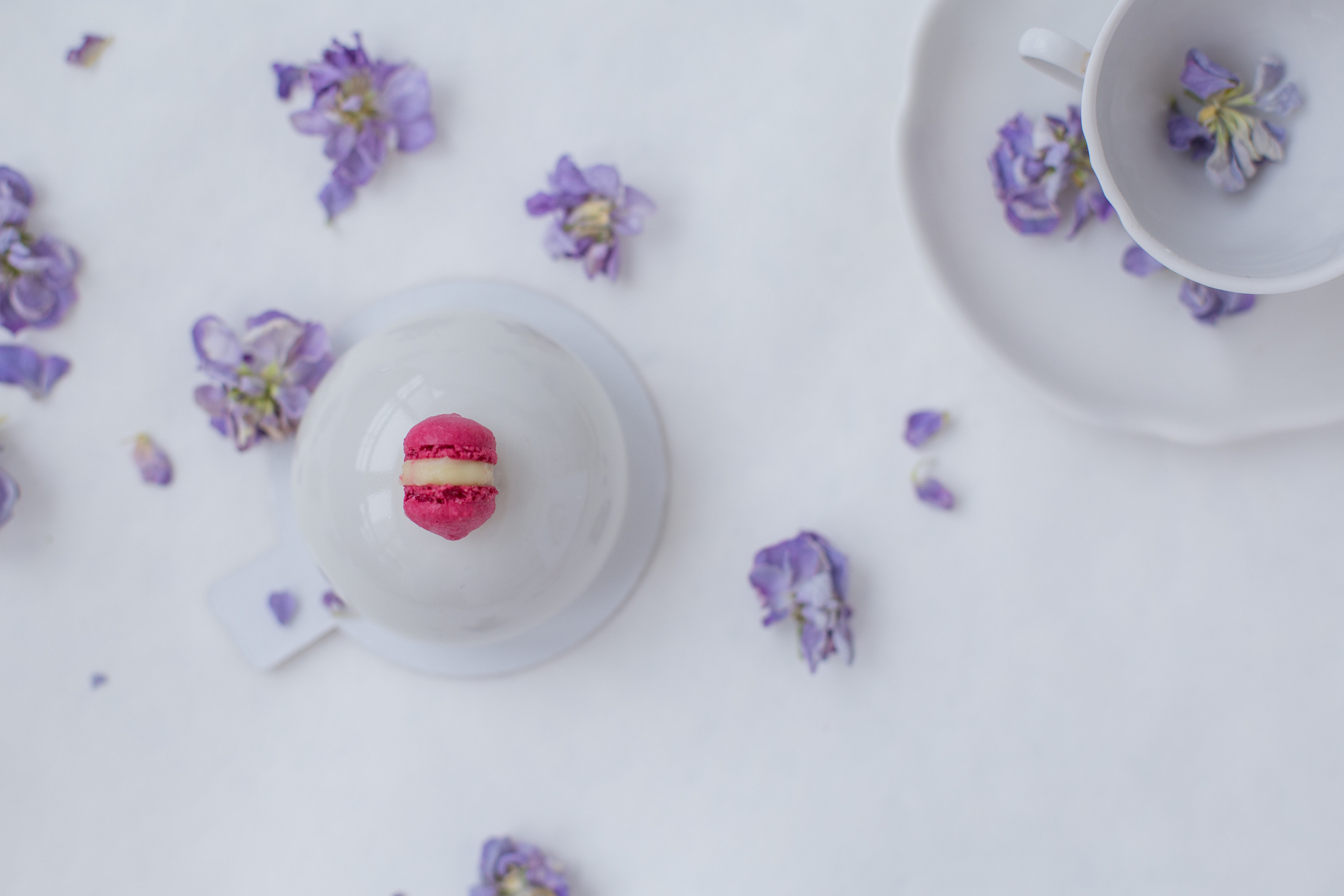 BitterSweet. Fotograf u Crnoj Gori-porodično fotografisanje sa djecom, lovestory, nekretnine