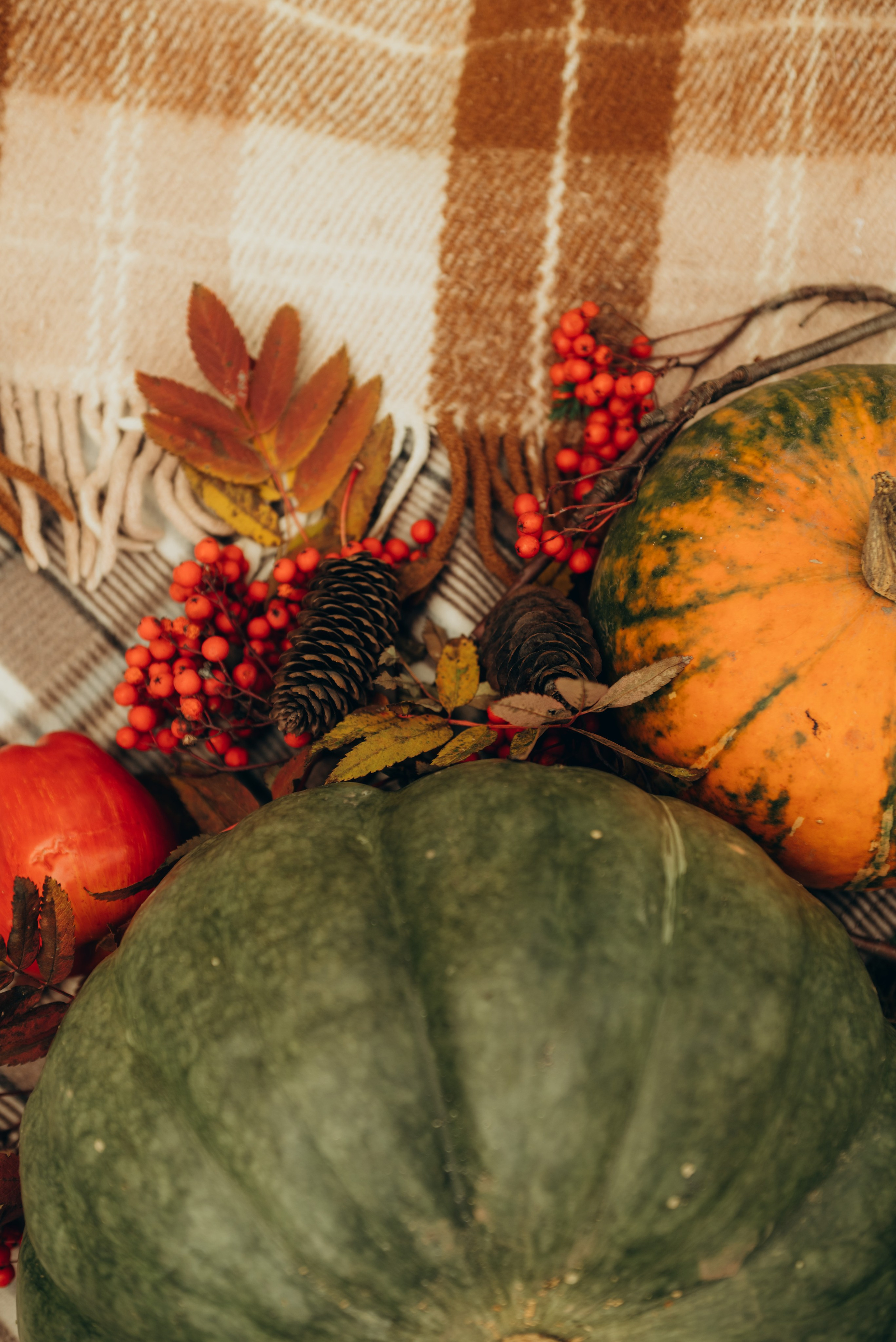 Семейные истории. Фотограф в Томске Мария Март
