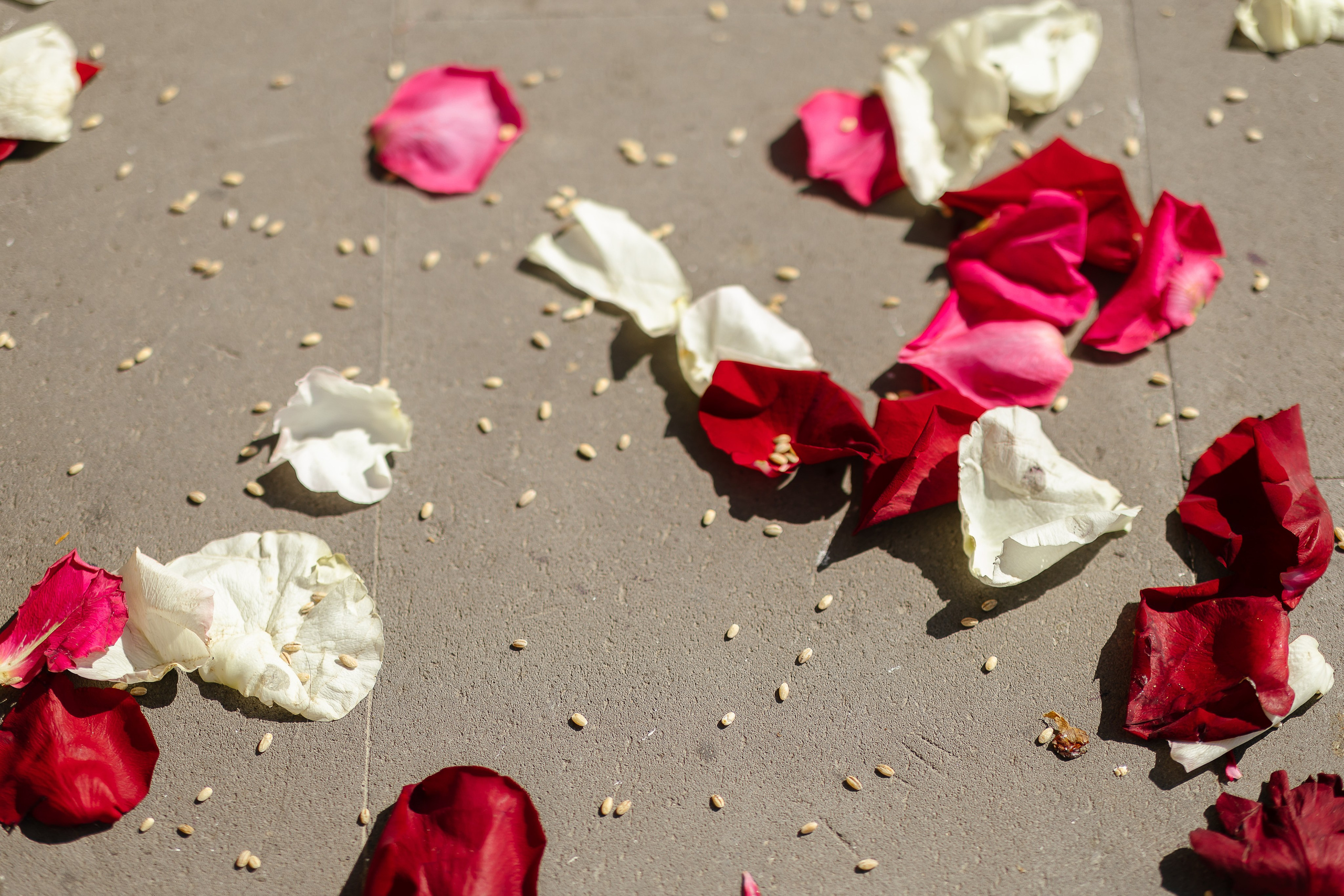 Родион и Ануш. Свадебный | Семейный фотограф