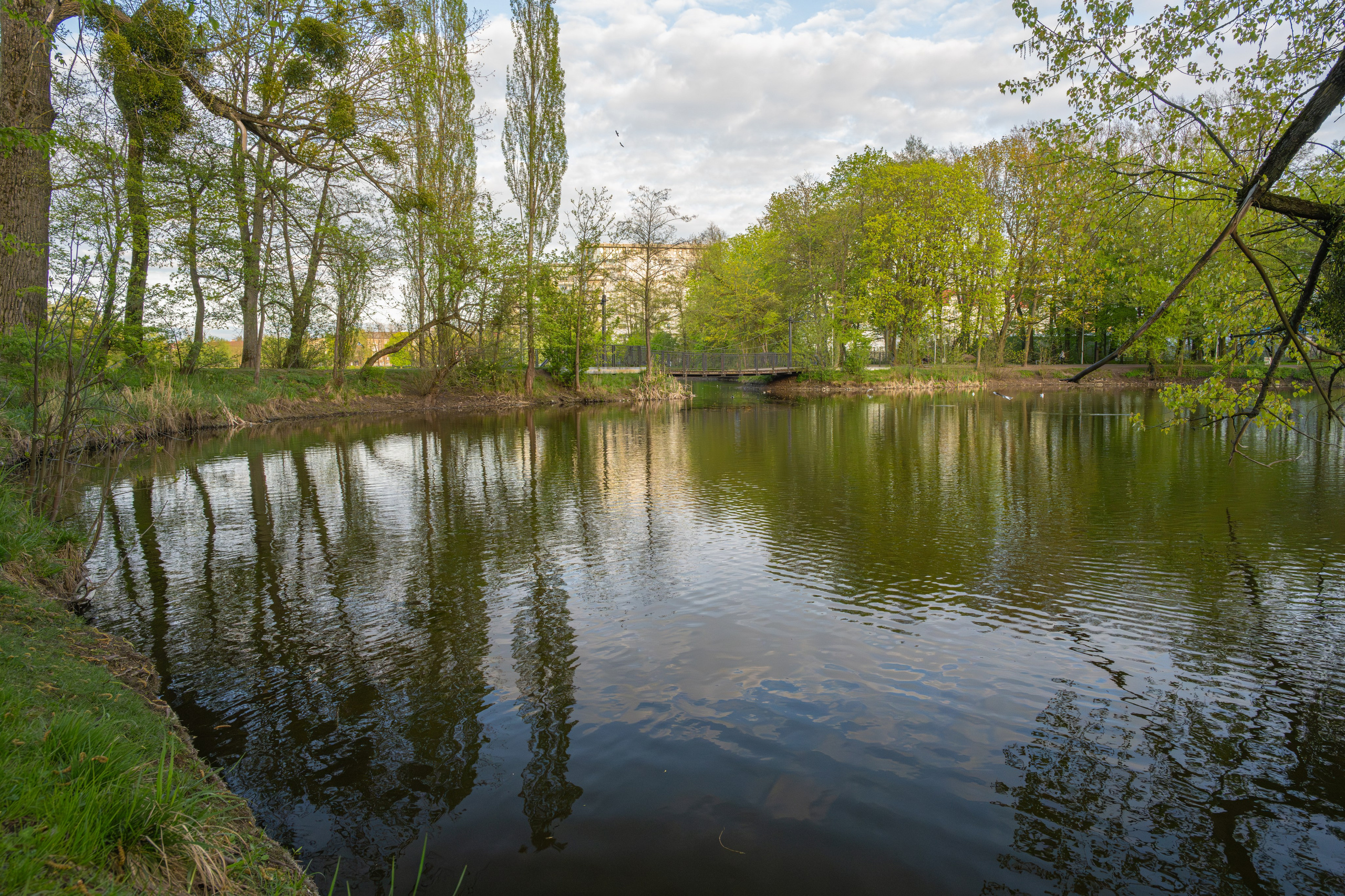 Калининград. Видение Константина Борунова