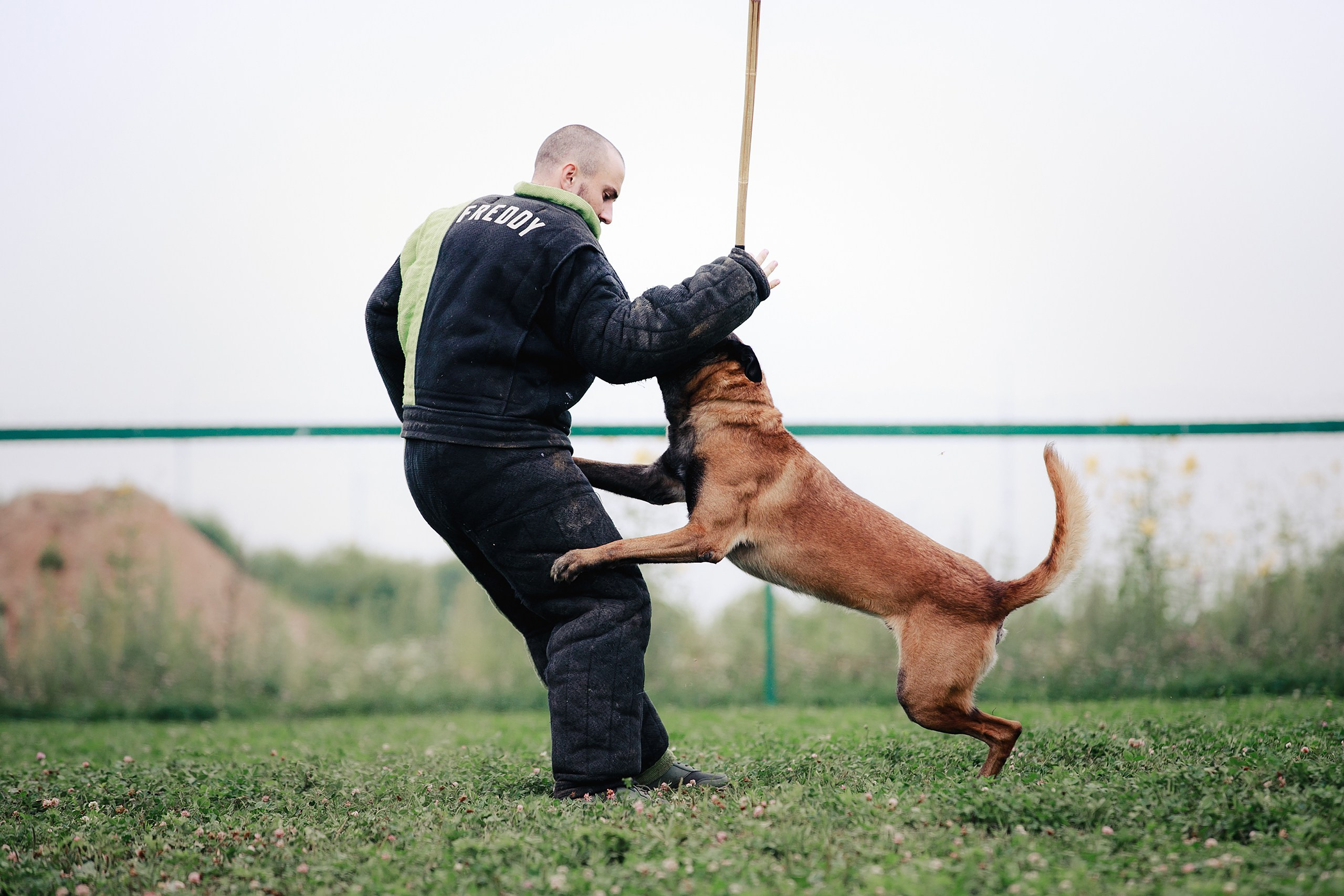 Мондьоринг М1, М2, М3, Вологда. Фотограф-анималист Mary Mart — Москва, Питер