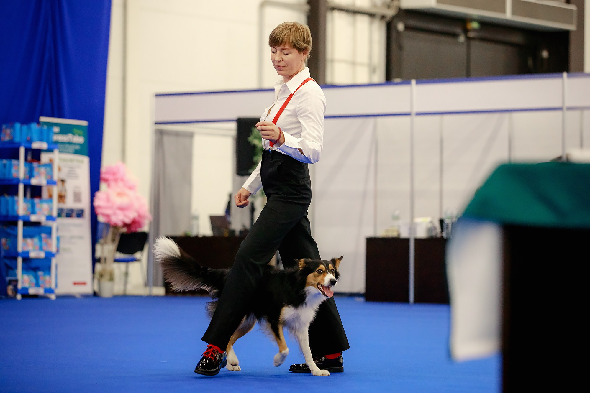 Танцы на выставке «Зоошоу», СПб. Фотограф-анималист Mary Mart — Москва, Питер