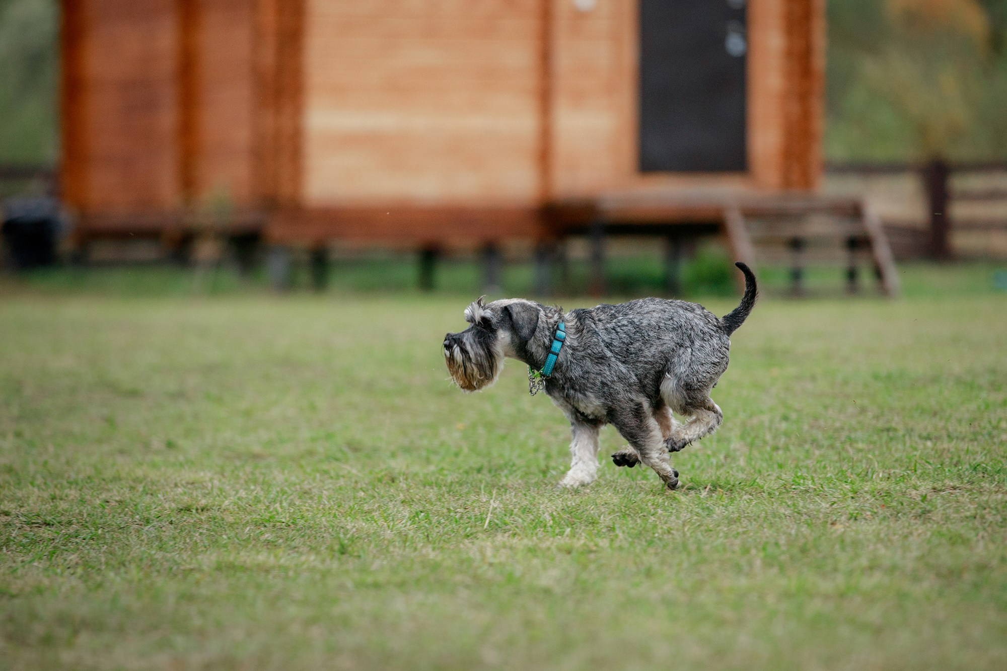 Лагерь по ОБД с Инной Баженовой. Фотограф-анималист Mary Mart — Москва, Питер