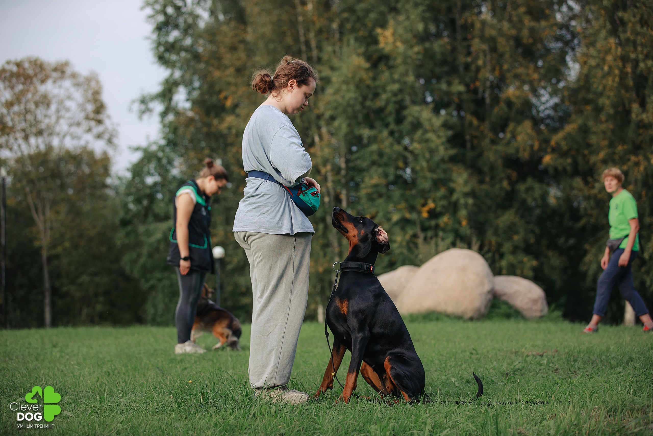 Кинологический лагерь CleverDog, 2024. Фотограф-анималист Mary Mart — Москва, Питер