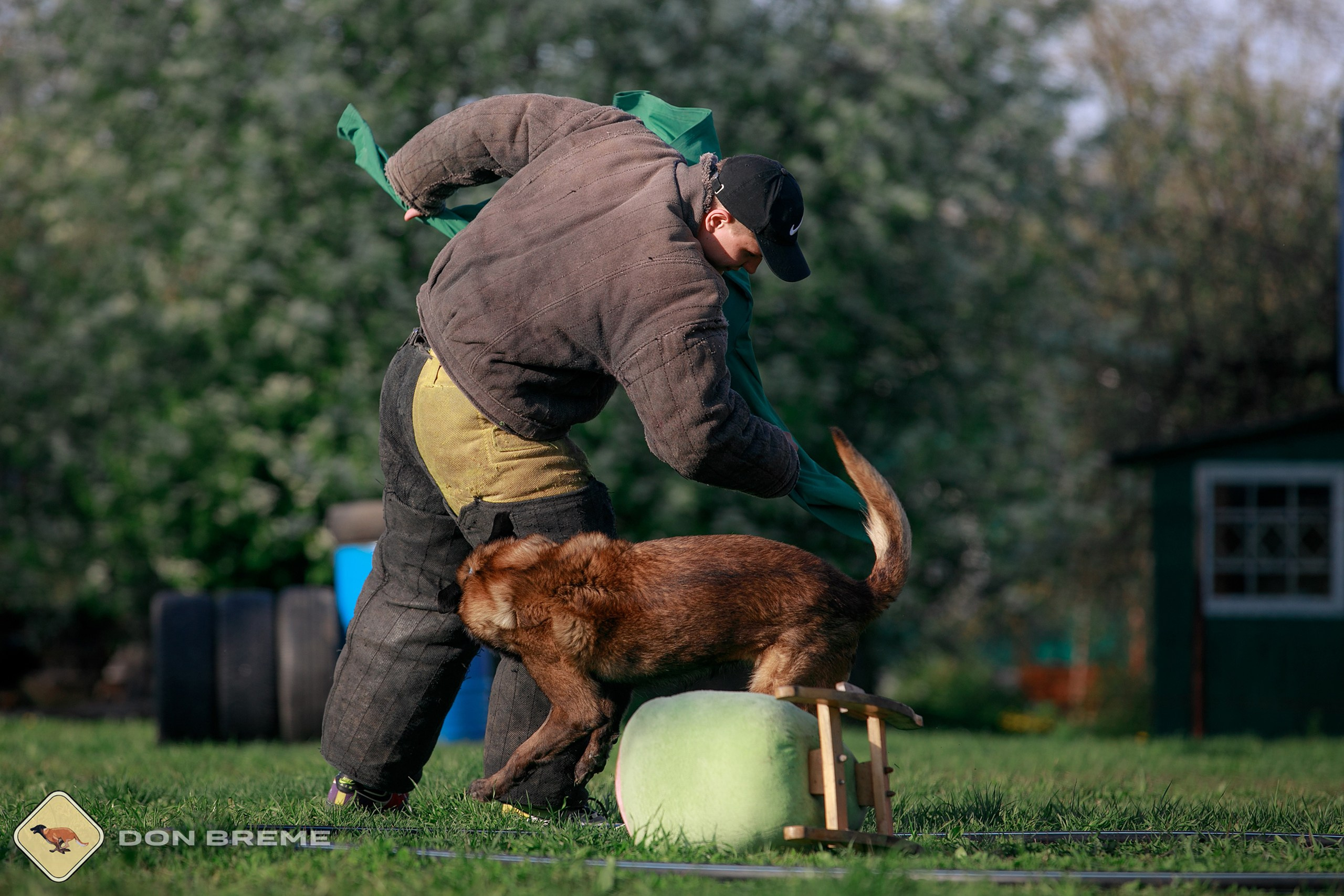 Семинар для фигурантов, день 4. Фотограф-анималист Mary Mart — Москва, Питер