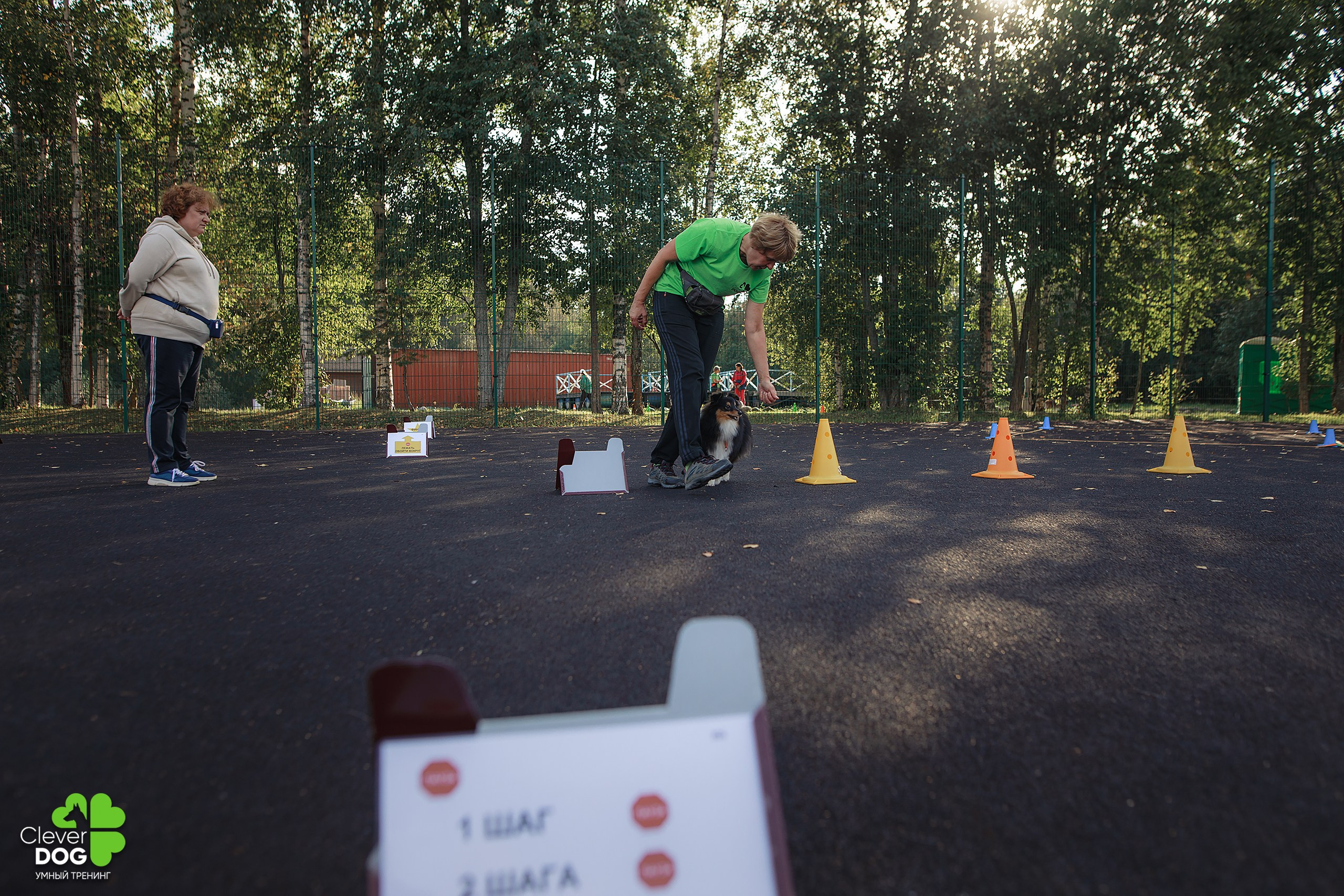 Кинологический лагерь CleverDog, 2024. Фотограф-анималист Mary Mart — Москва, Питер