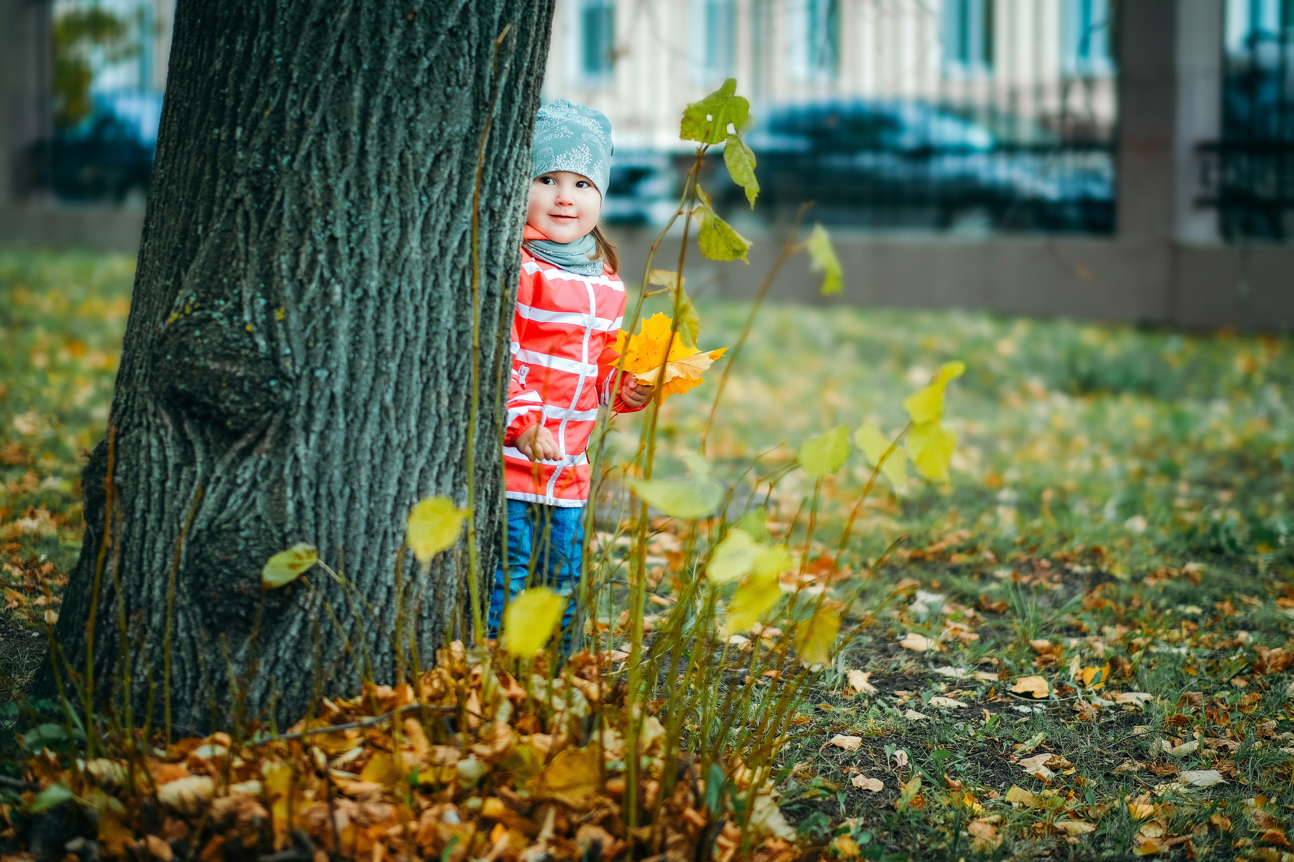 Тея. Свадебный и репортажной фотограф Денис Ожигин в Краснодаре и Краснодарском крае