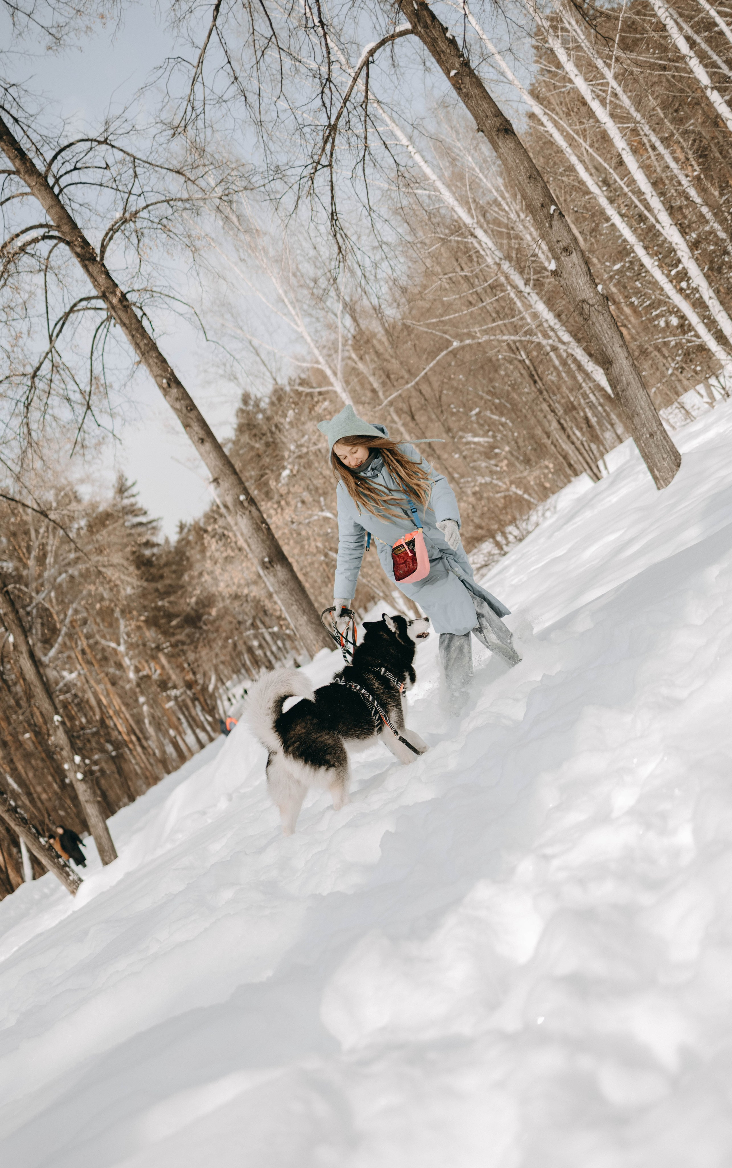 Анна и Вегас. Фотограф-анималист в Екатеринбурге | Кристина