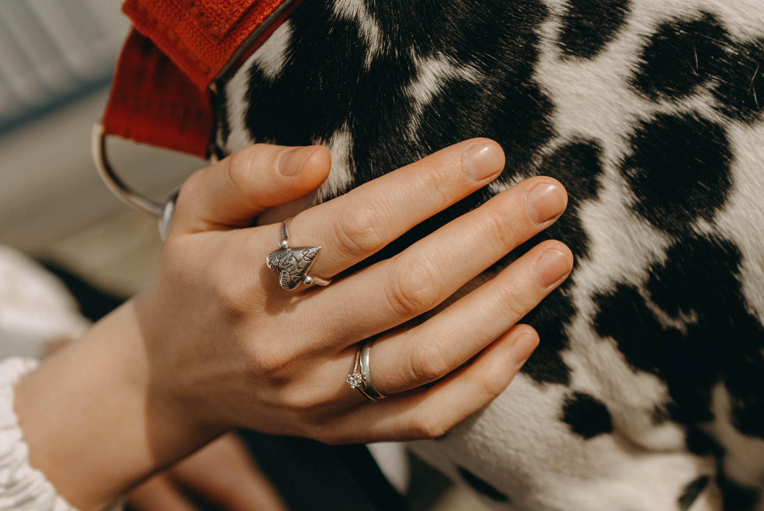 Диана и Лекса. Фотограф-анималист в Екатеринбурге | Кристина