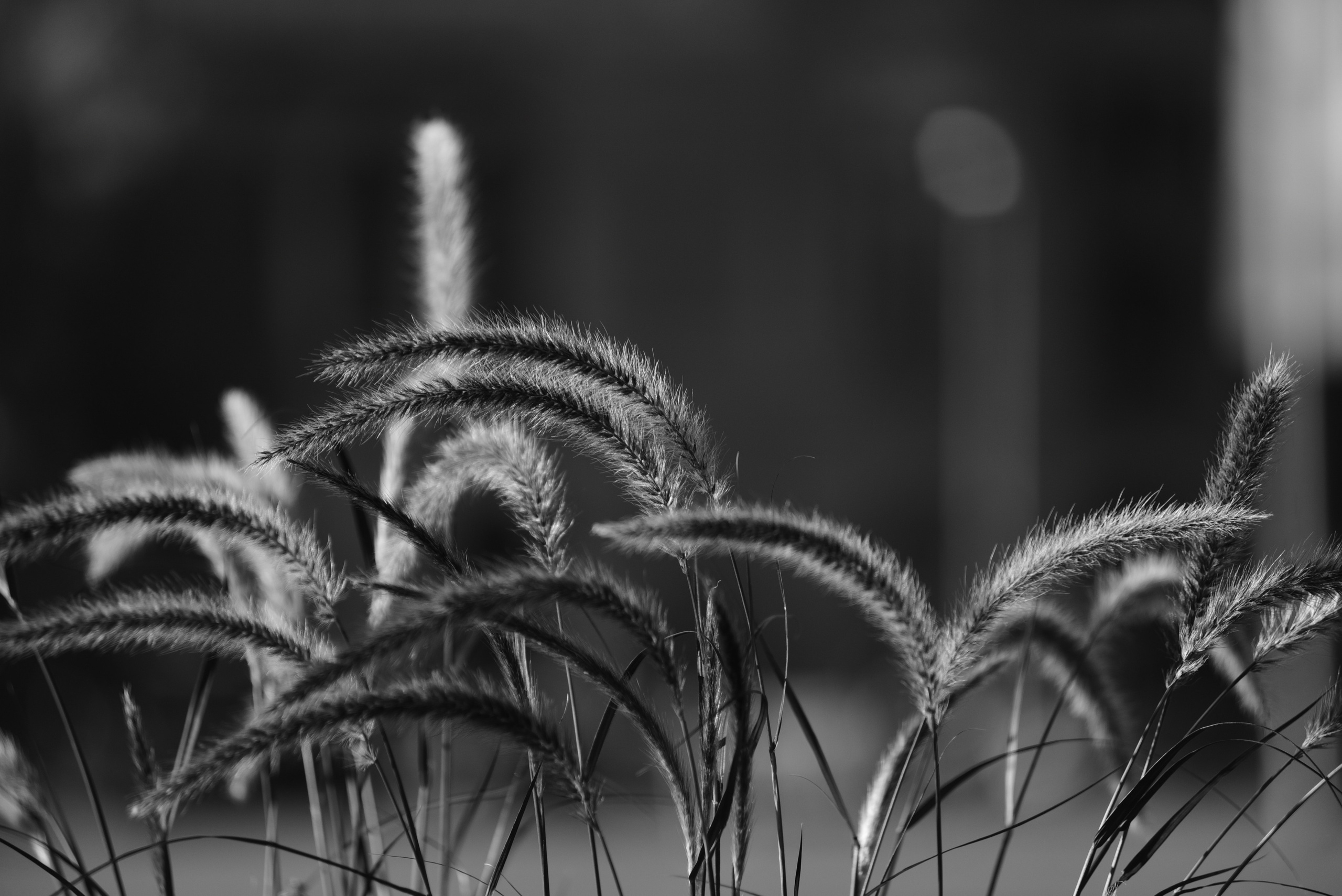 Хельсинки. Фотограф Милена Яновска